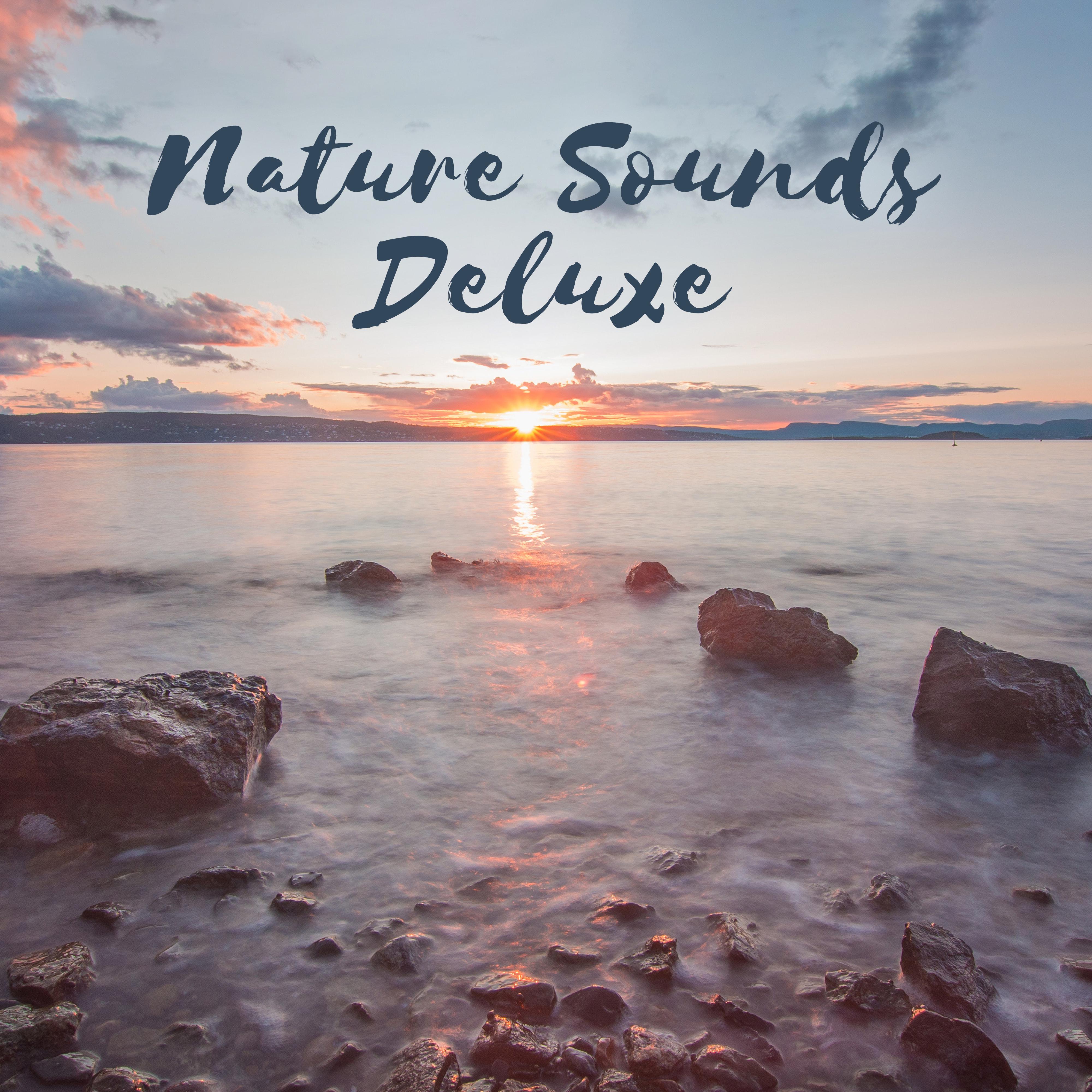Nature Sounds Deluxe  Nature Music for Yoga, Meditation, Relaxation, Spa
