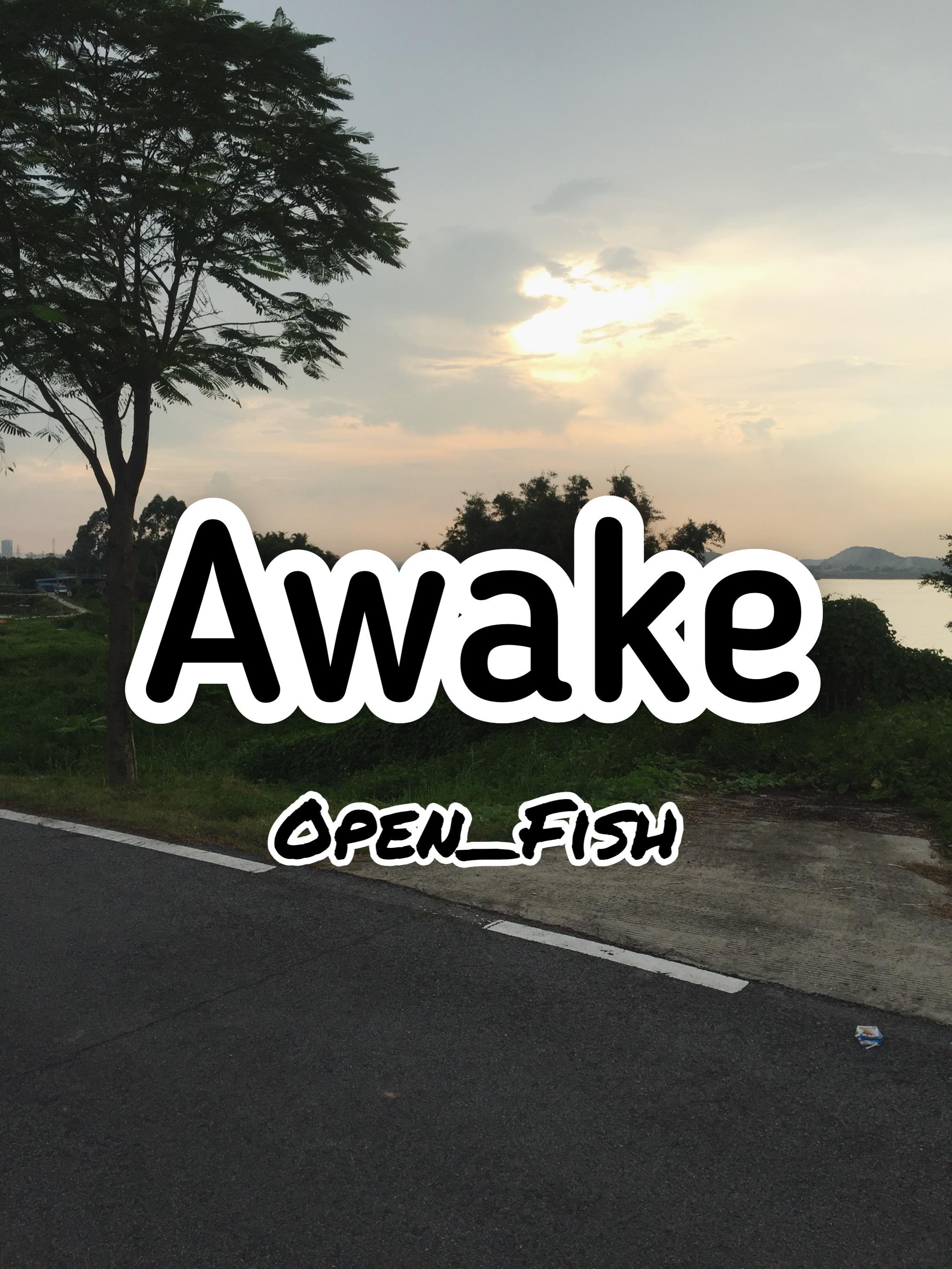 Awake