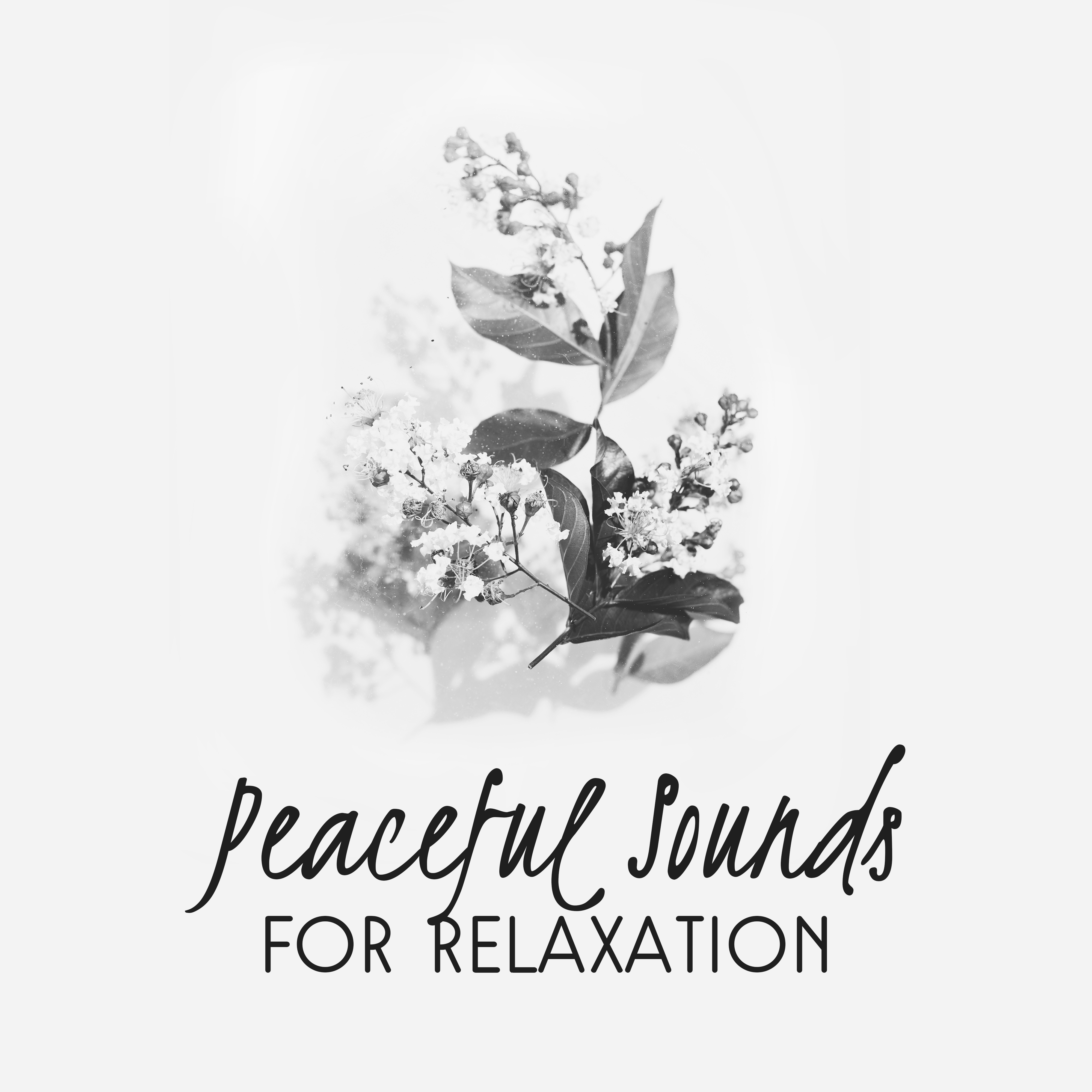 Peaceful Sounds for Relaxation