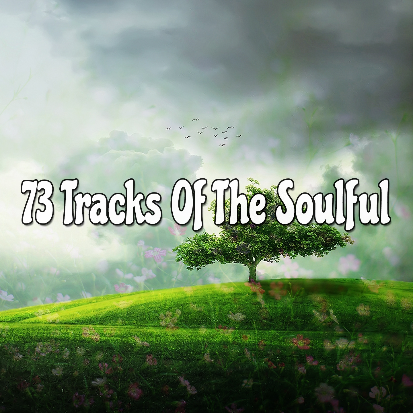 73 Tracks Of The Soulful