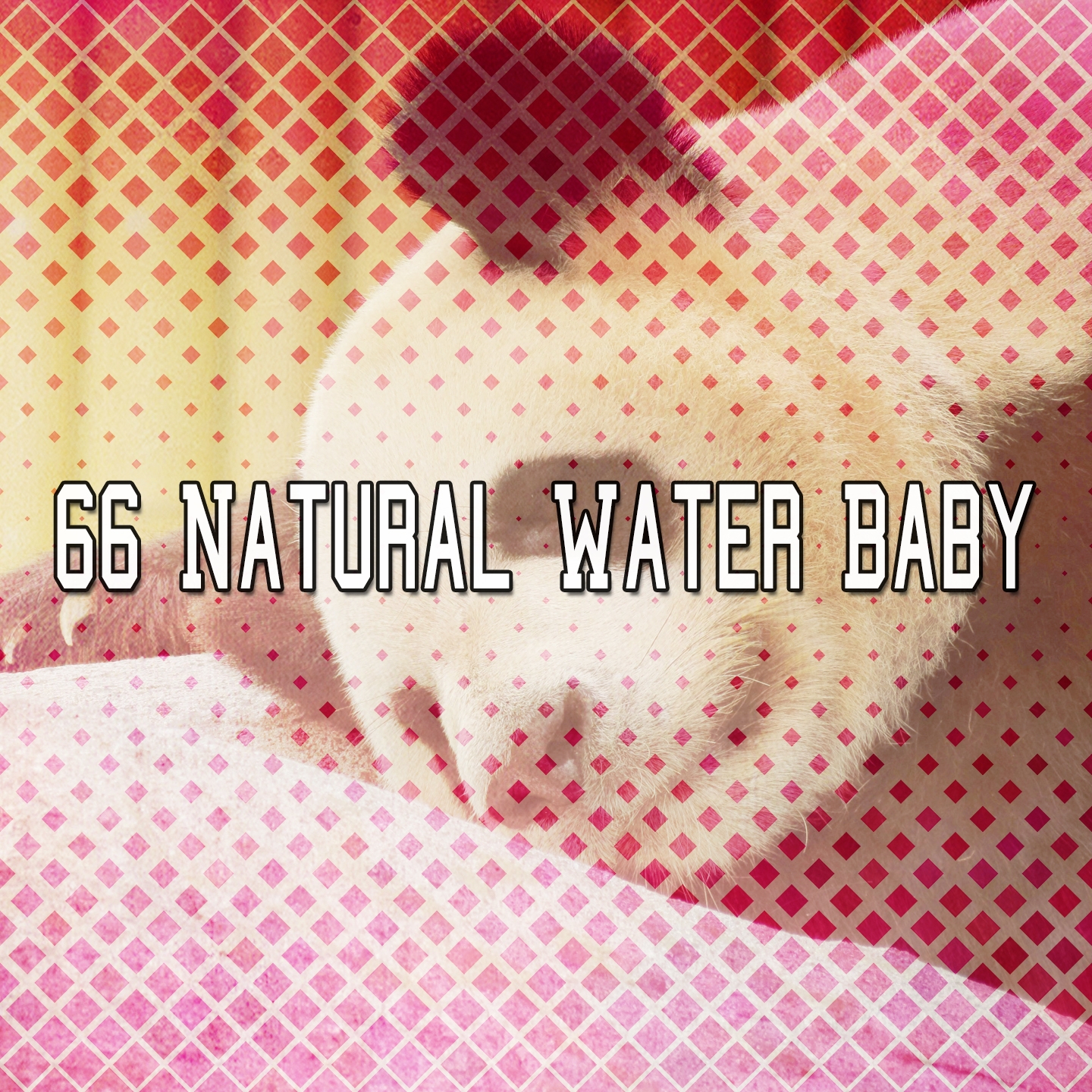 66 Natural Water Baby