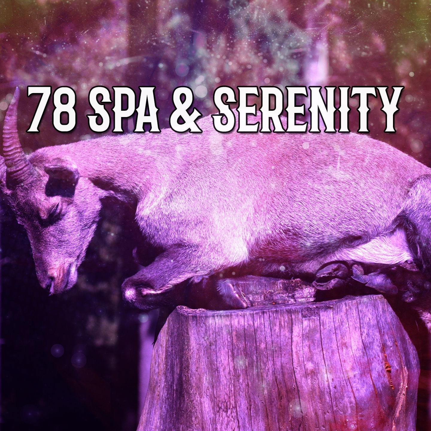 78 Spa & Serenity