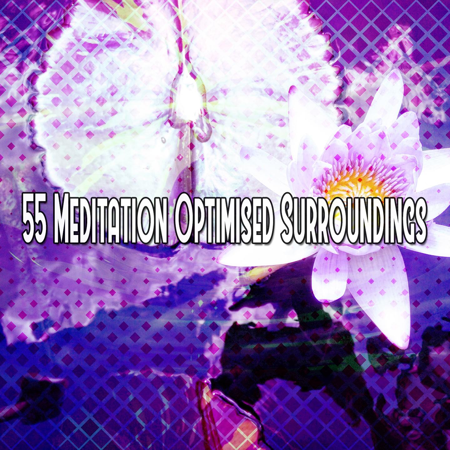 55 Meditation Optimised Surroundings