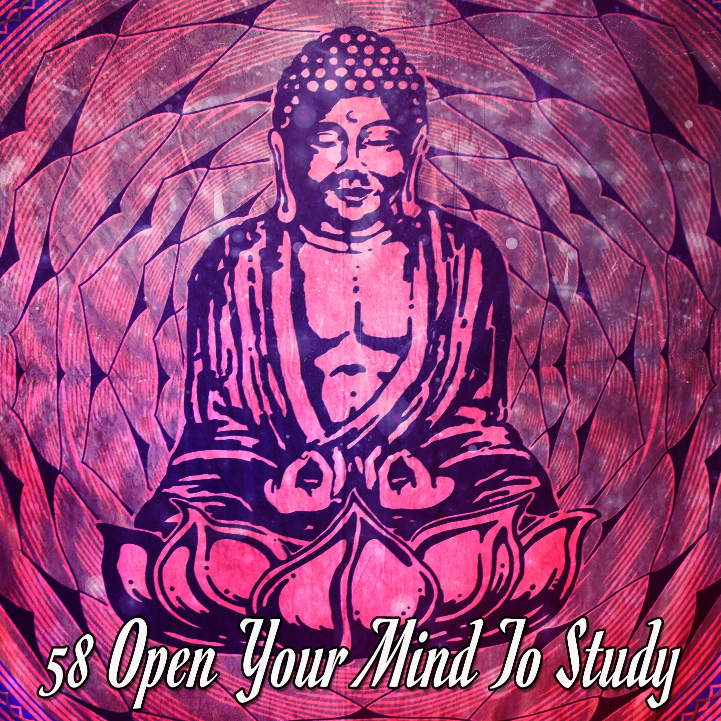 58 Open Your Mind To Study