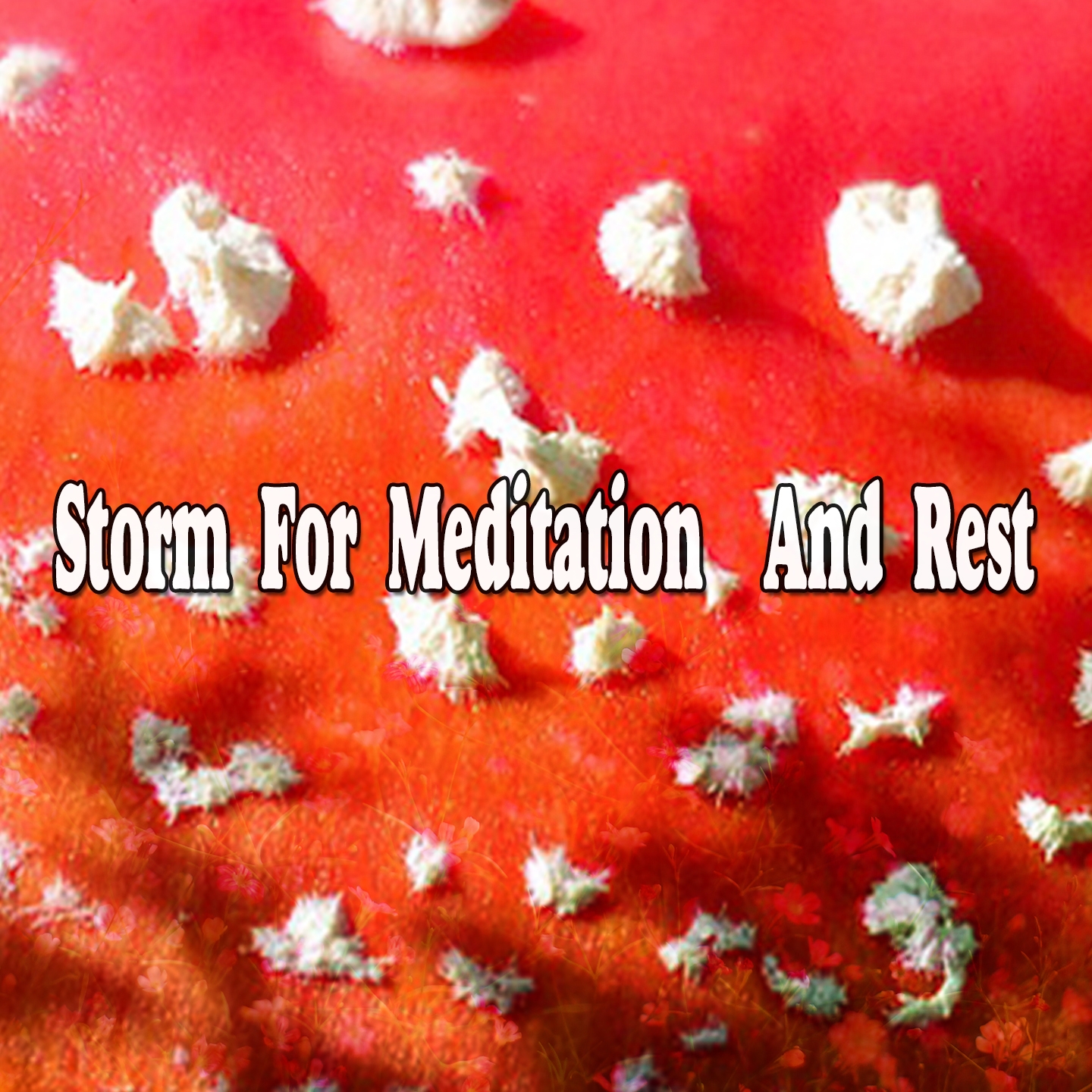 Storm For Meditation And Rest