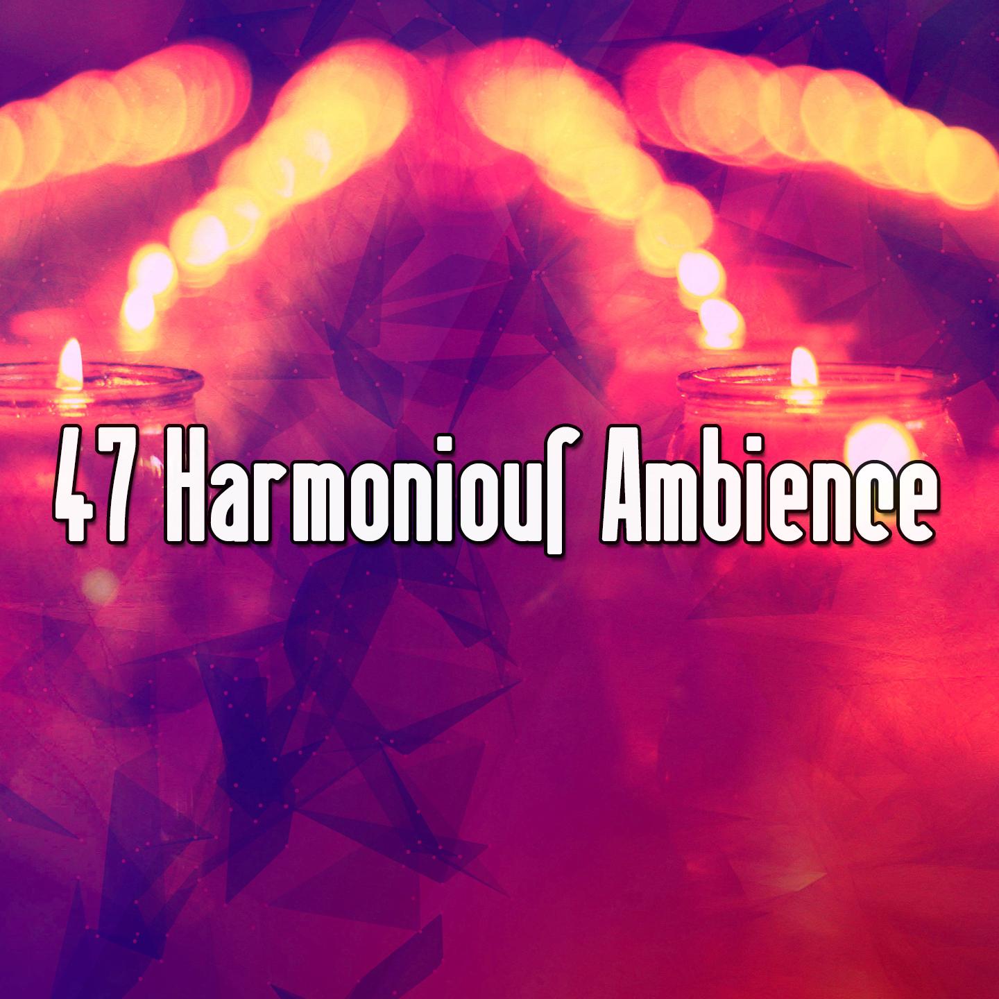 47 Harmonious Ambience