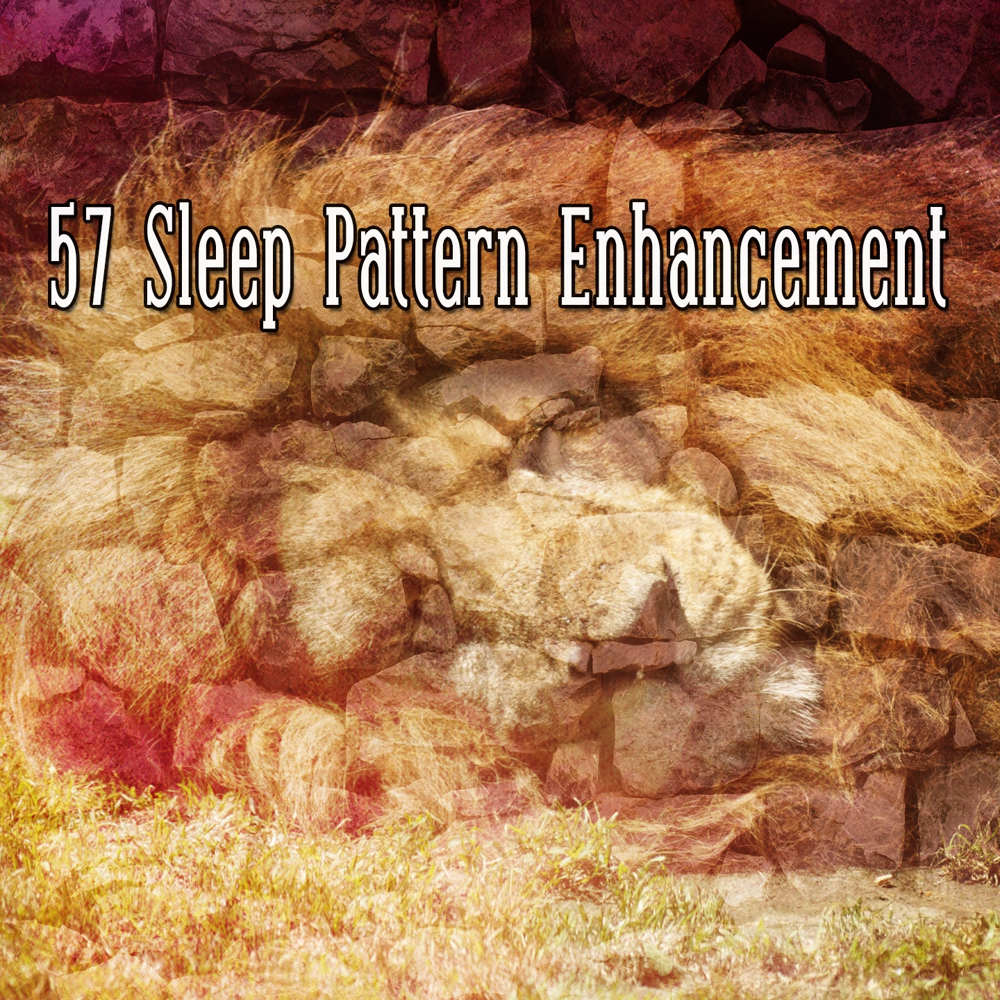 57 Sleep Pattern Enhancement