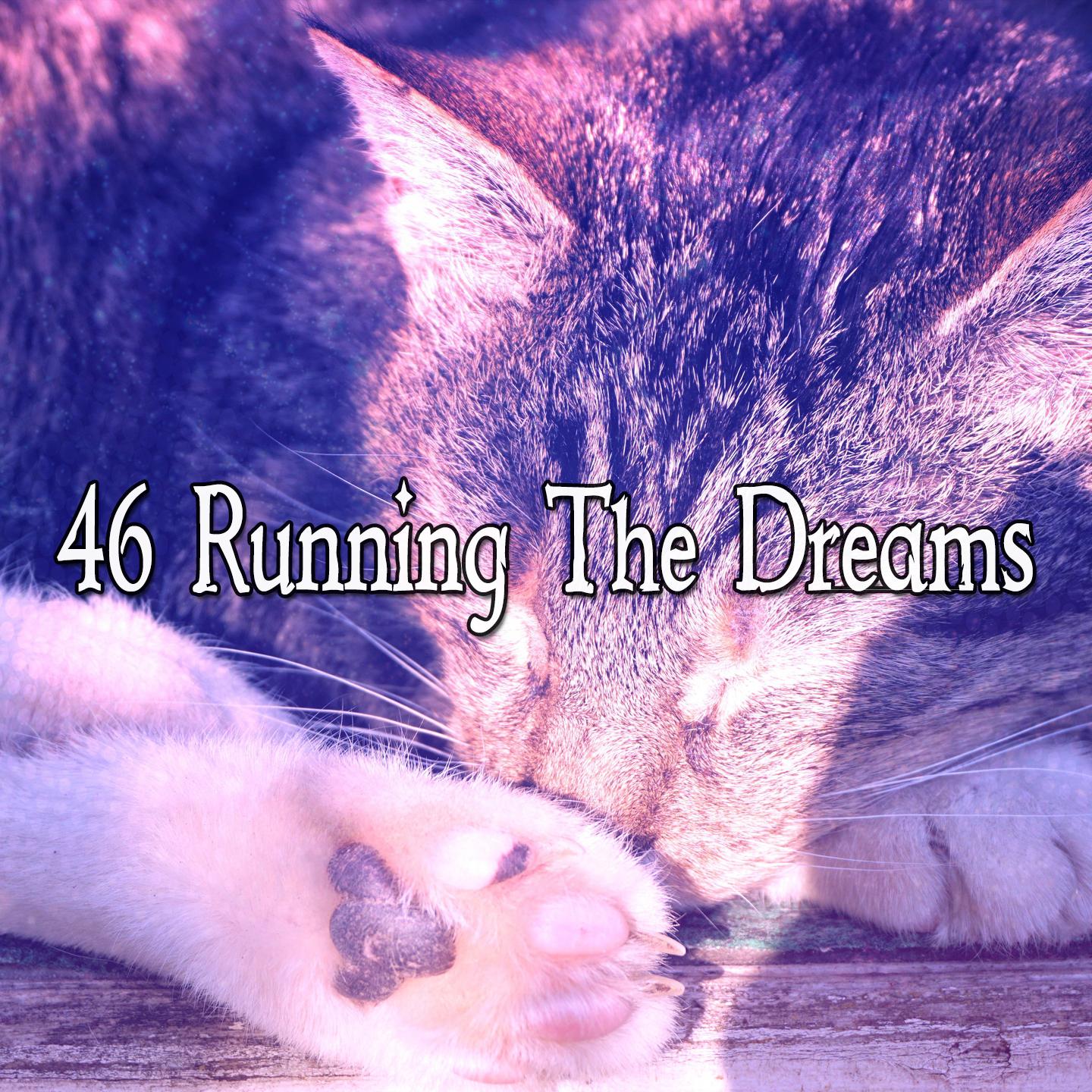46 Running The Dreams