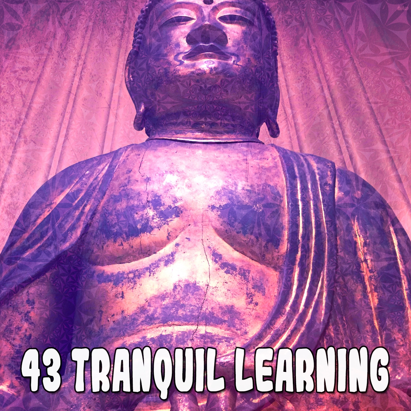 43 Tranquil Learning