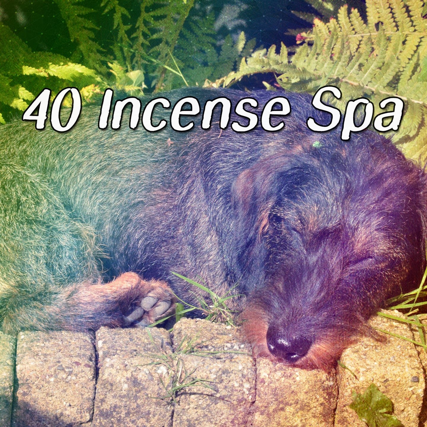 40 Incense Spa