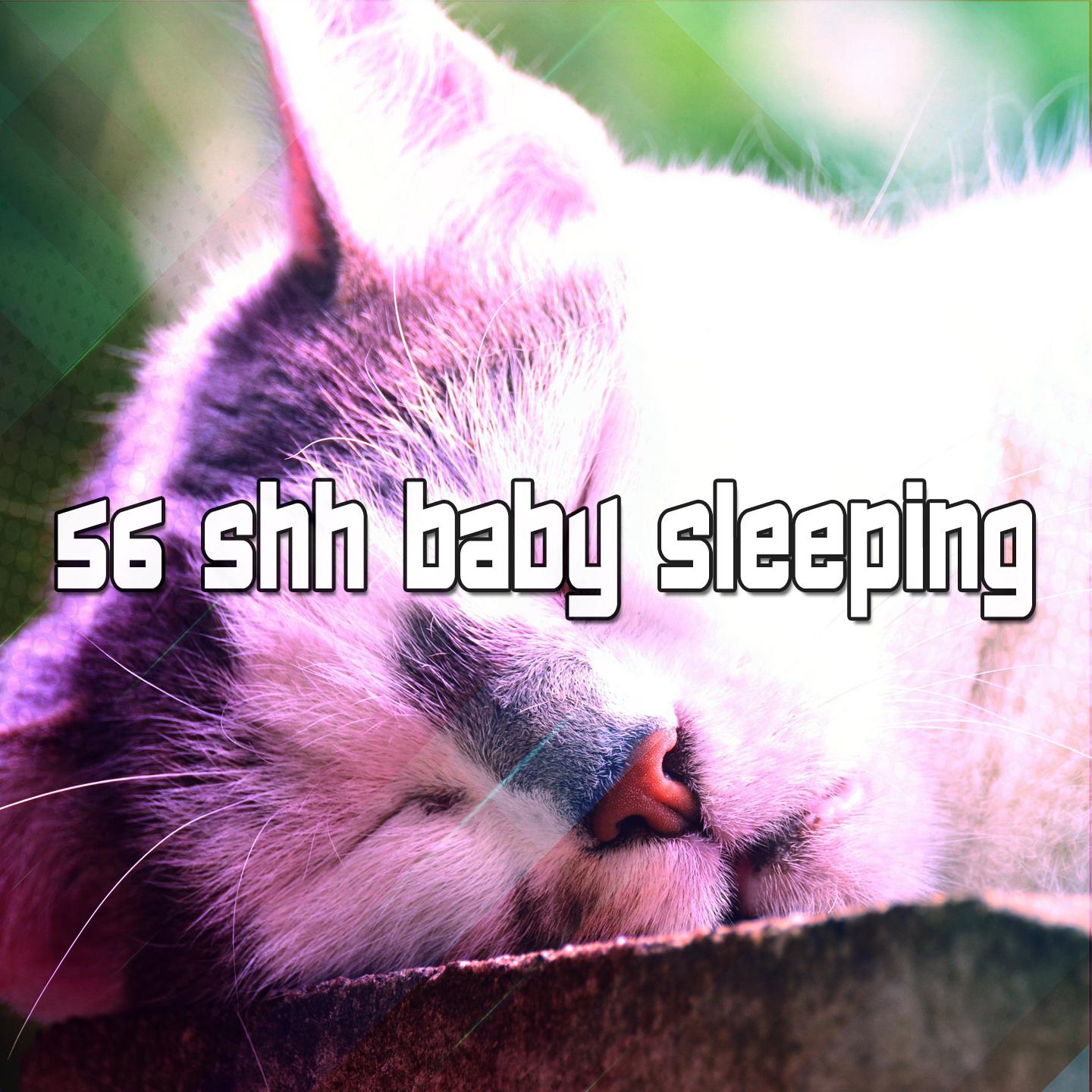 56 Shh Baby Sleeping