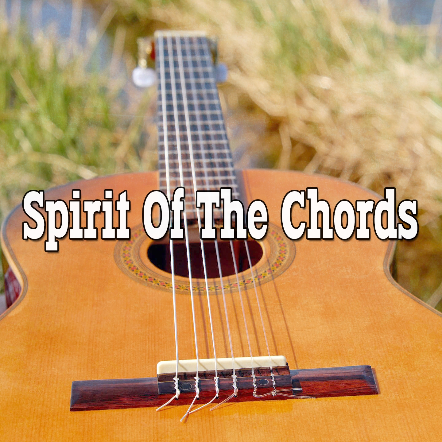 Spirit Of The Chords