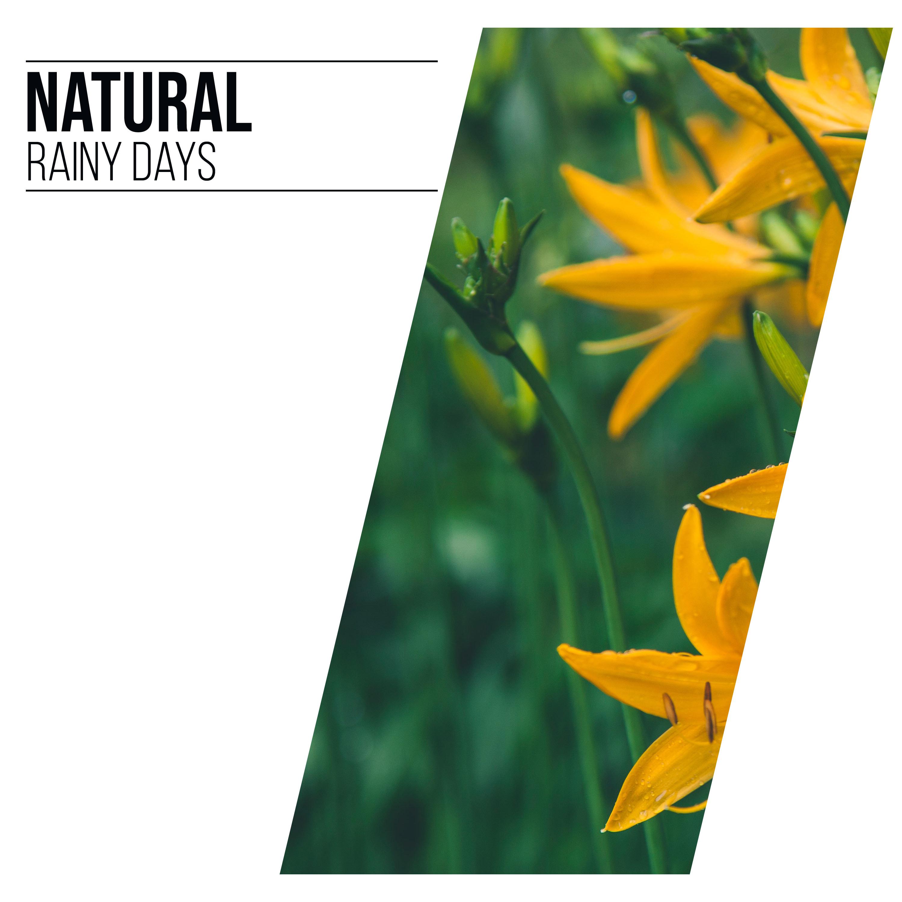 #20 Natural Rainy Days for Sleep