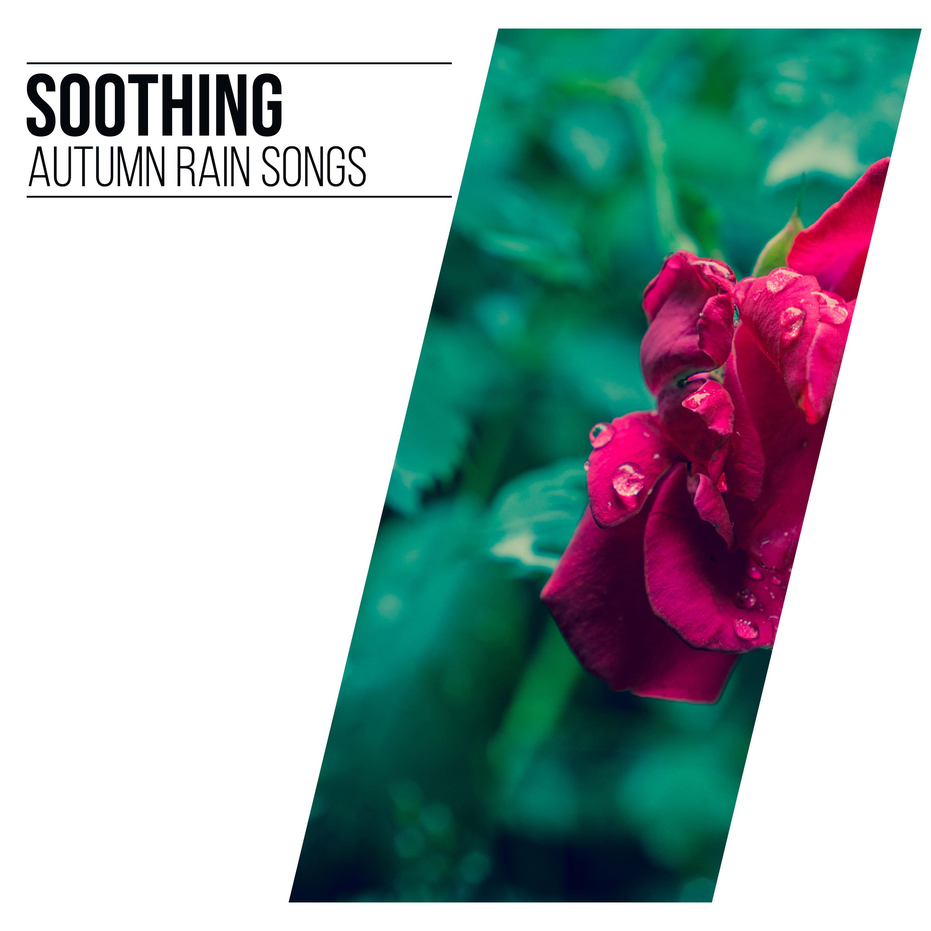 #17 Soothing Autumn Rain Songs