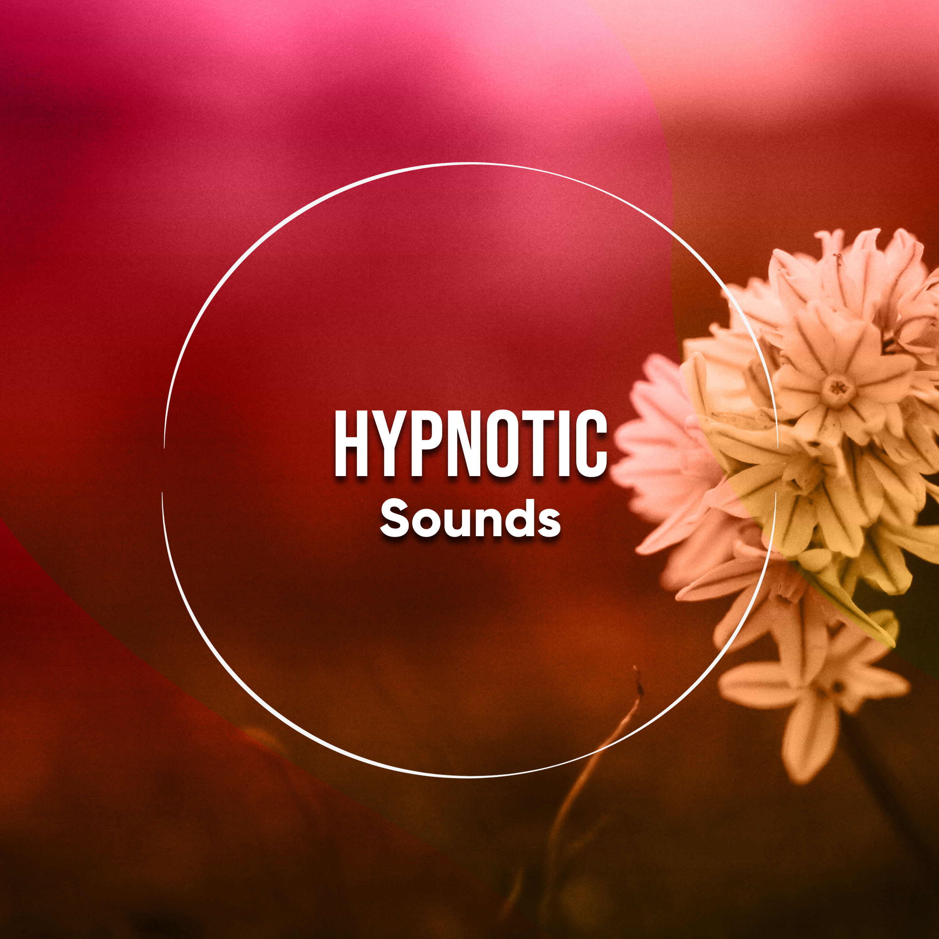 #12 Hypnotic Sounds for Yoga, Zen and Meditation