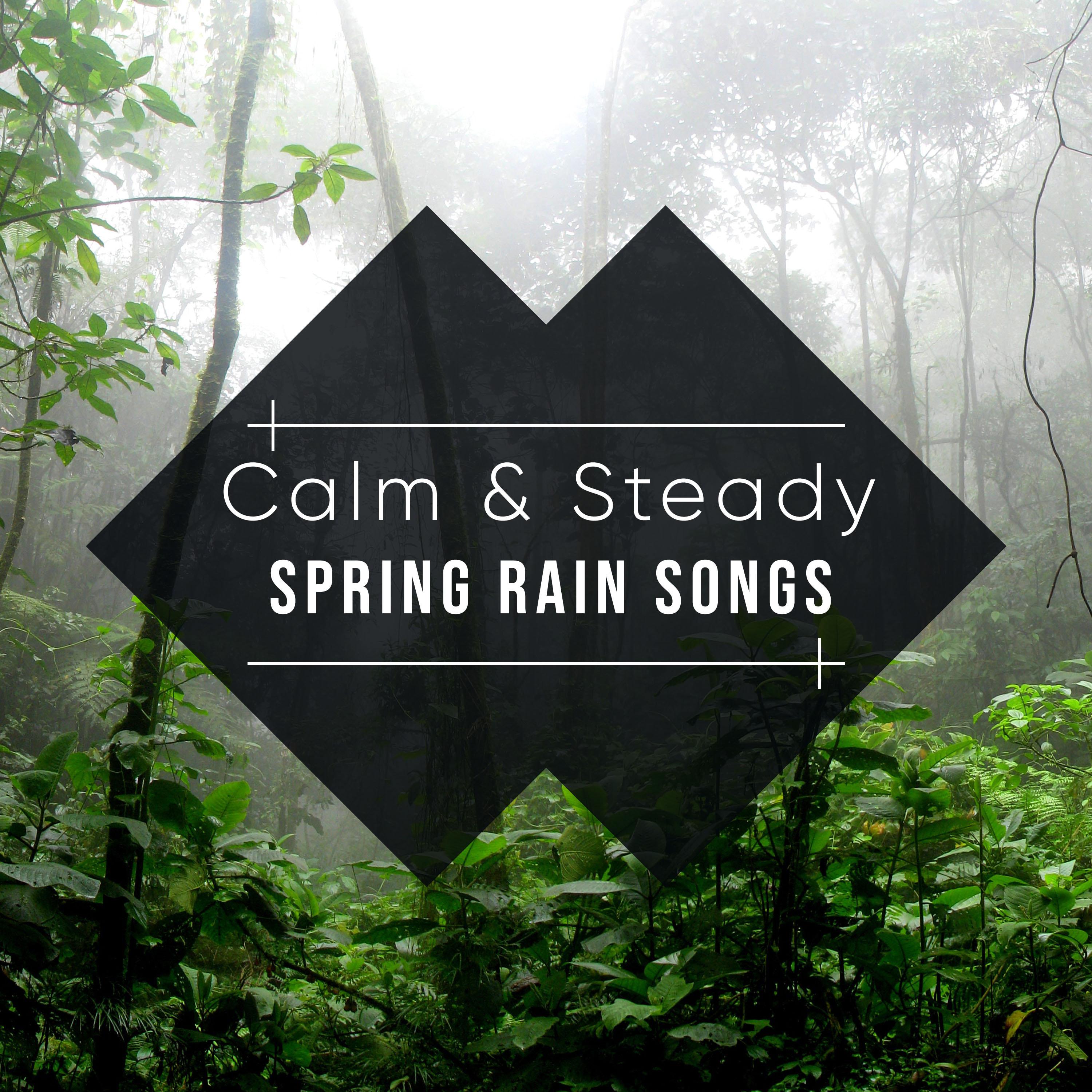 #16 Calm & Steady Spring Rain Songs