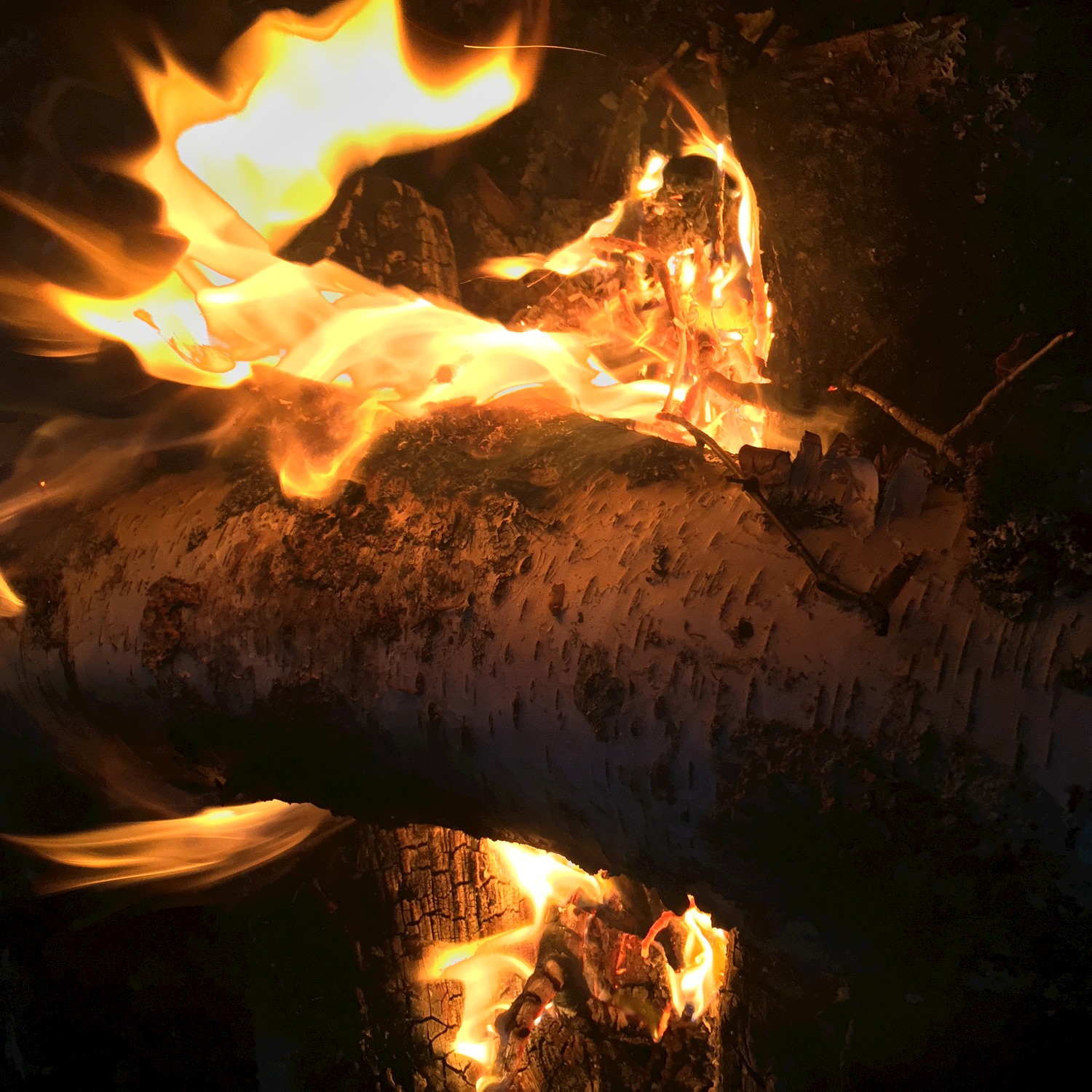 Maine Crackling Campfire for Sleep
