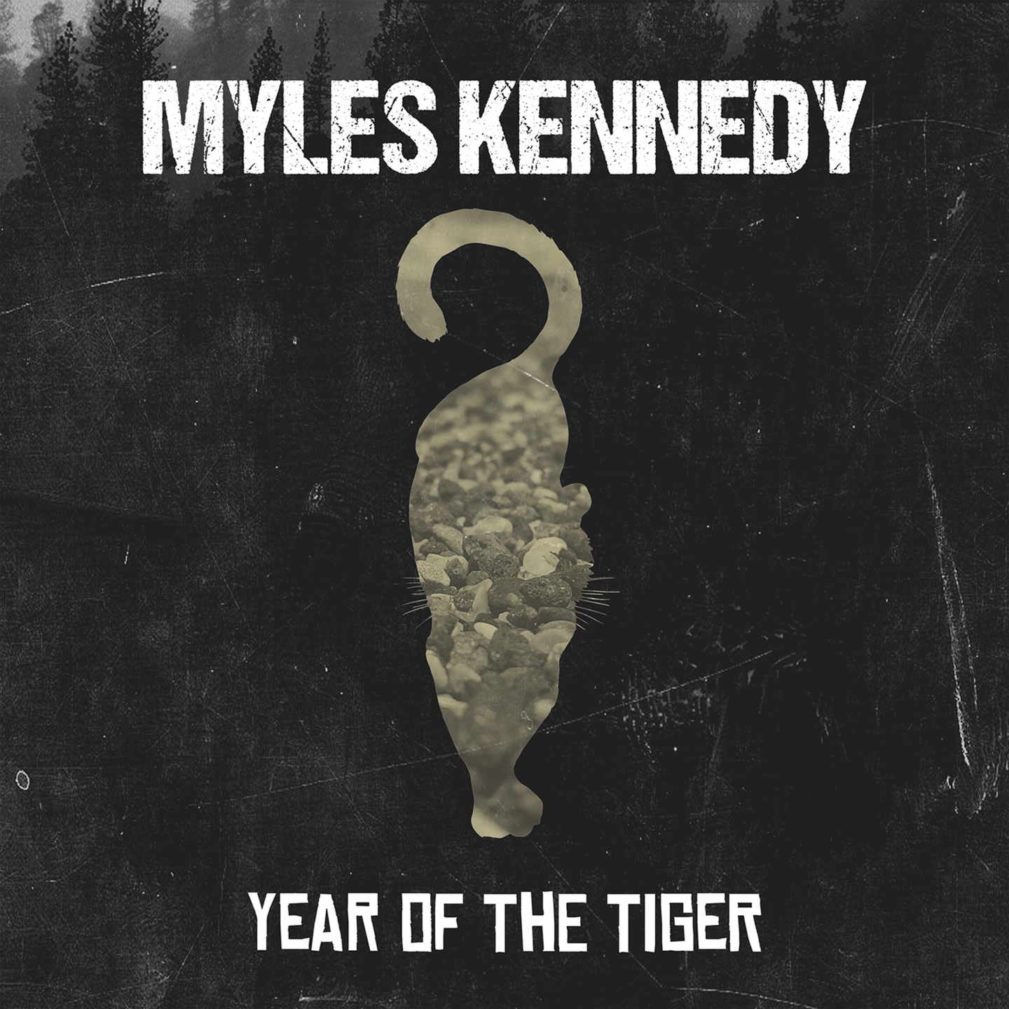 Year of the Tiger