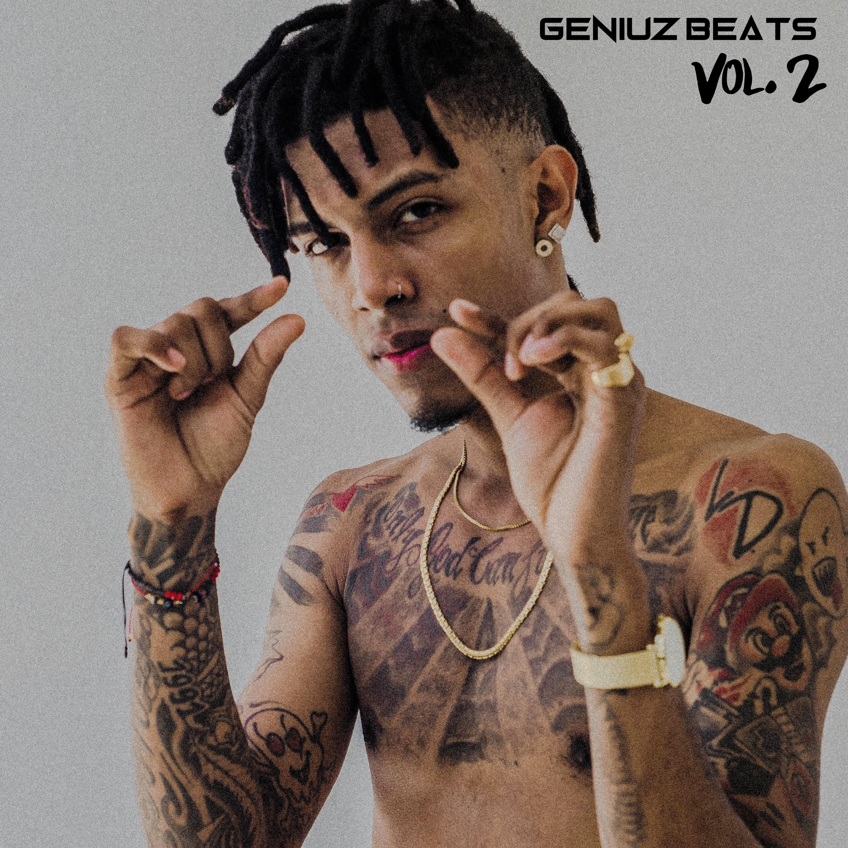 Geniuz Beats, Vol. 2