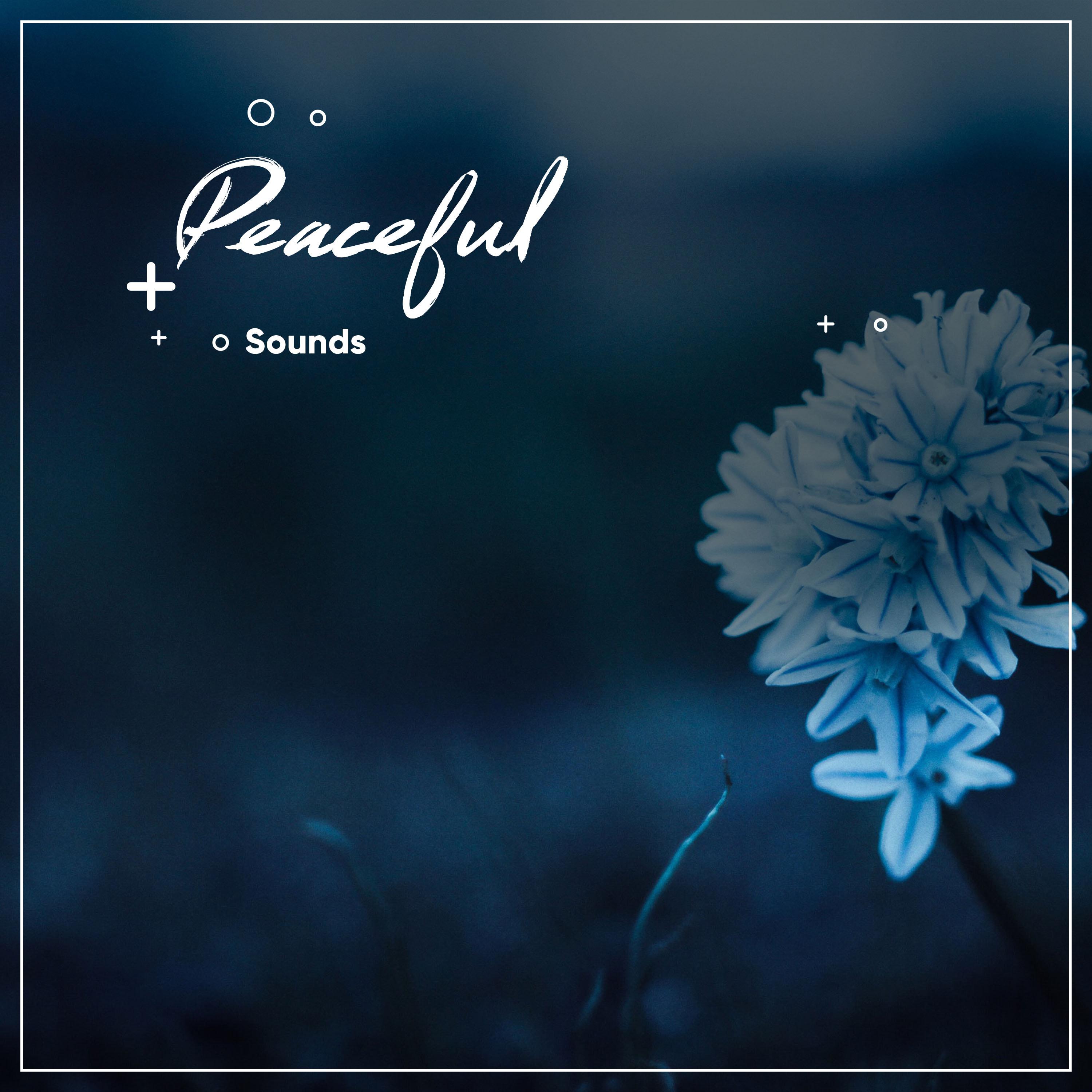 #10 Peaceful Sounds for Yoga, Zen and Meditation
