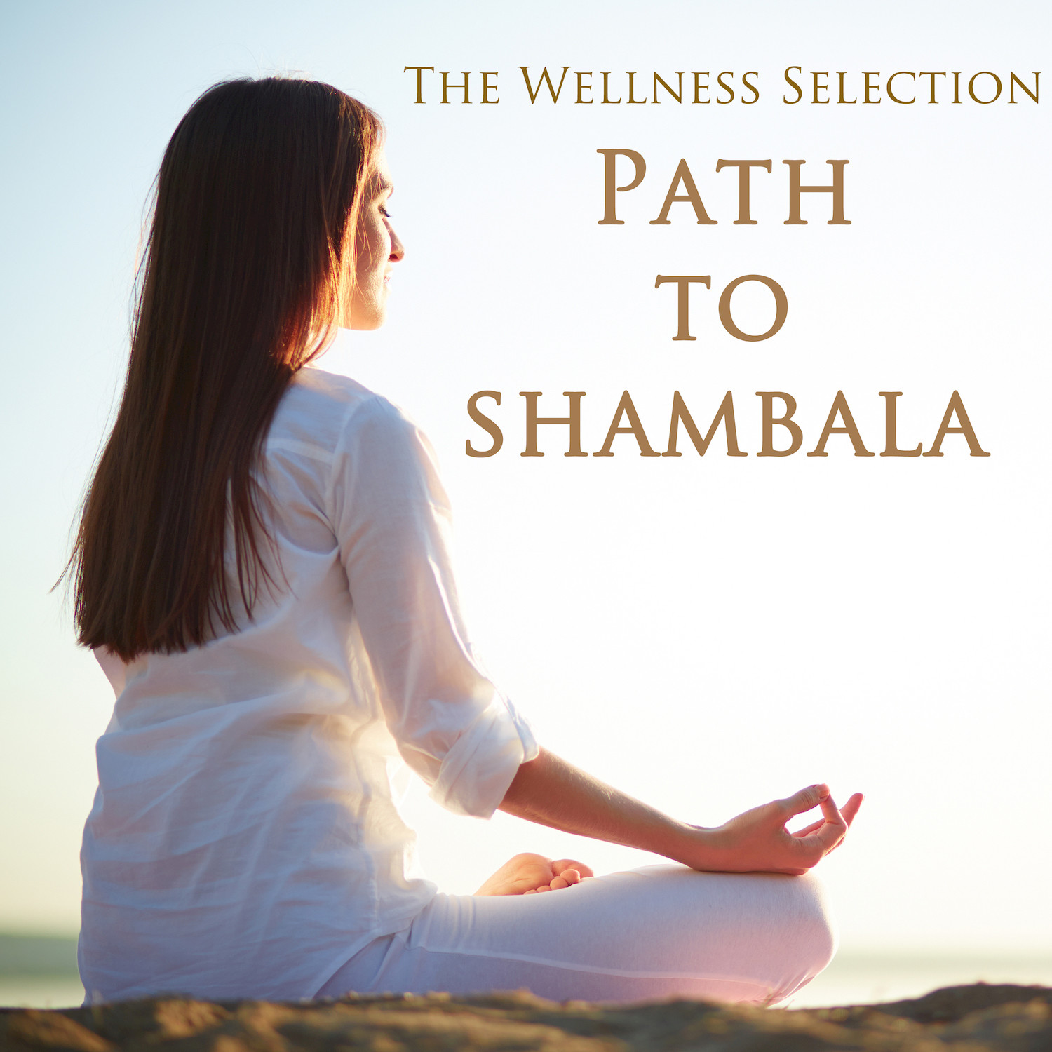 The Path to Shambala