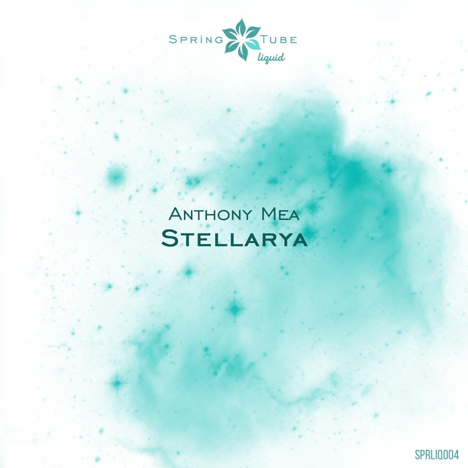 Stellarya