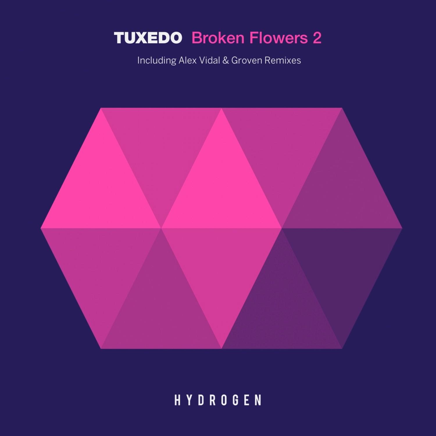 Broken Flower (Groven Remix)
