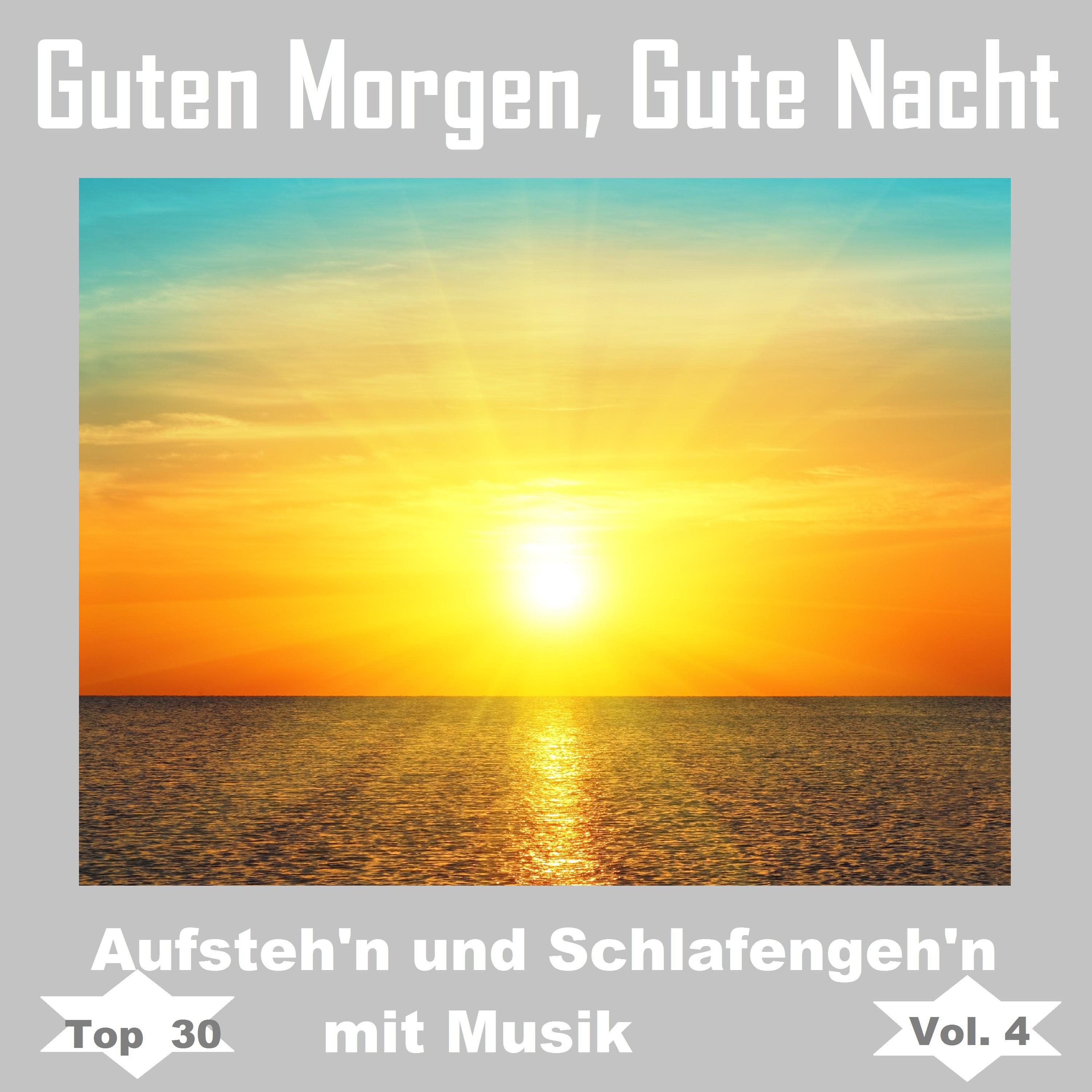 Top 30: Guten Morgen, gute Nacht - Aufsteh'n und schlafengeh'n mit Musik, Vol. 4