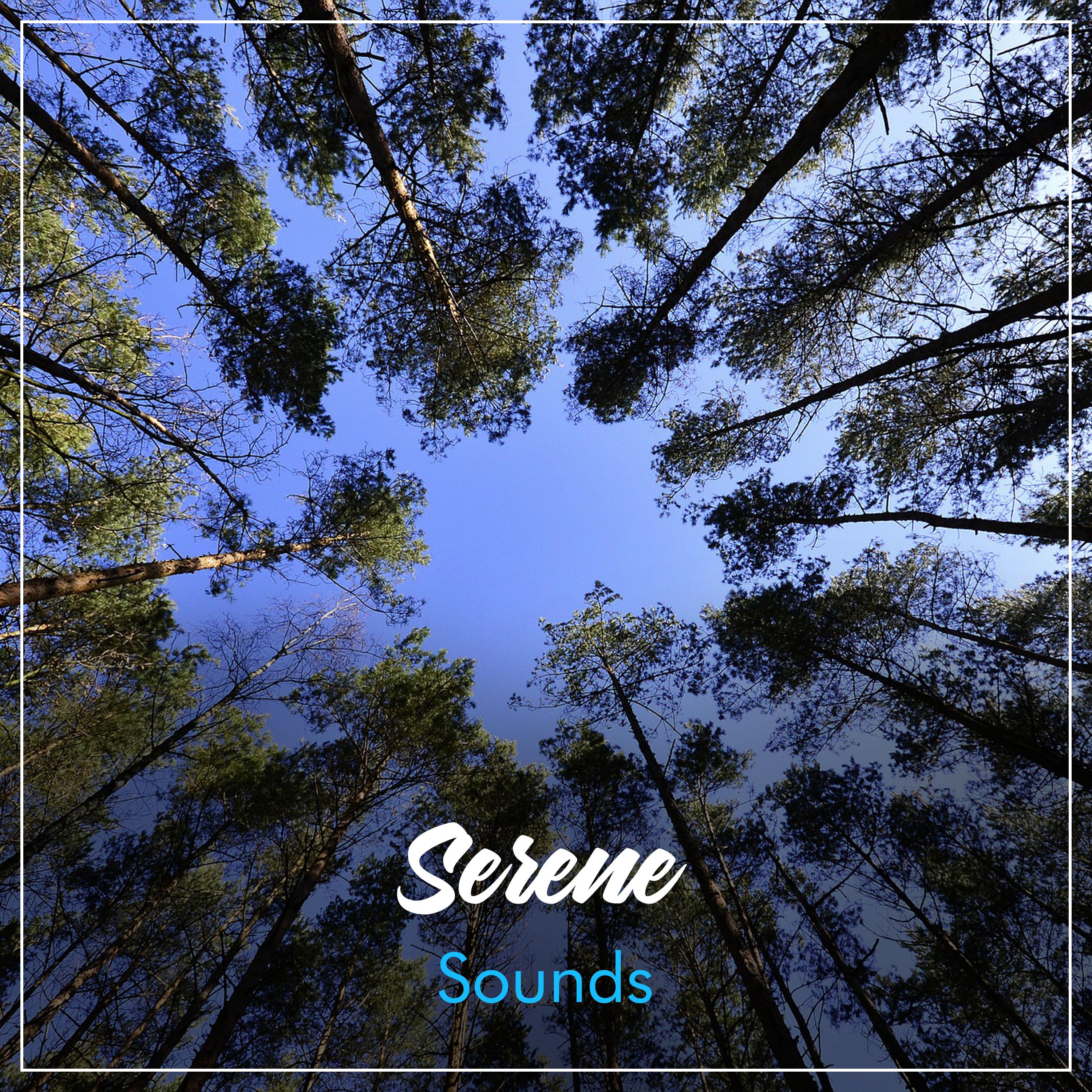 #22 Serene Sounds for Massage Therapy