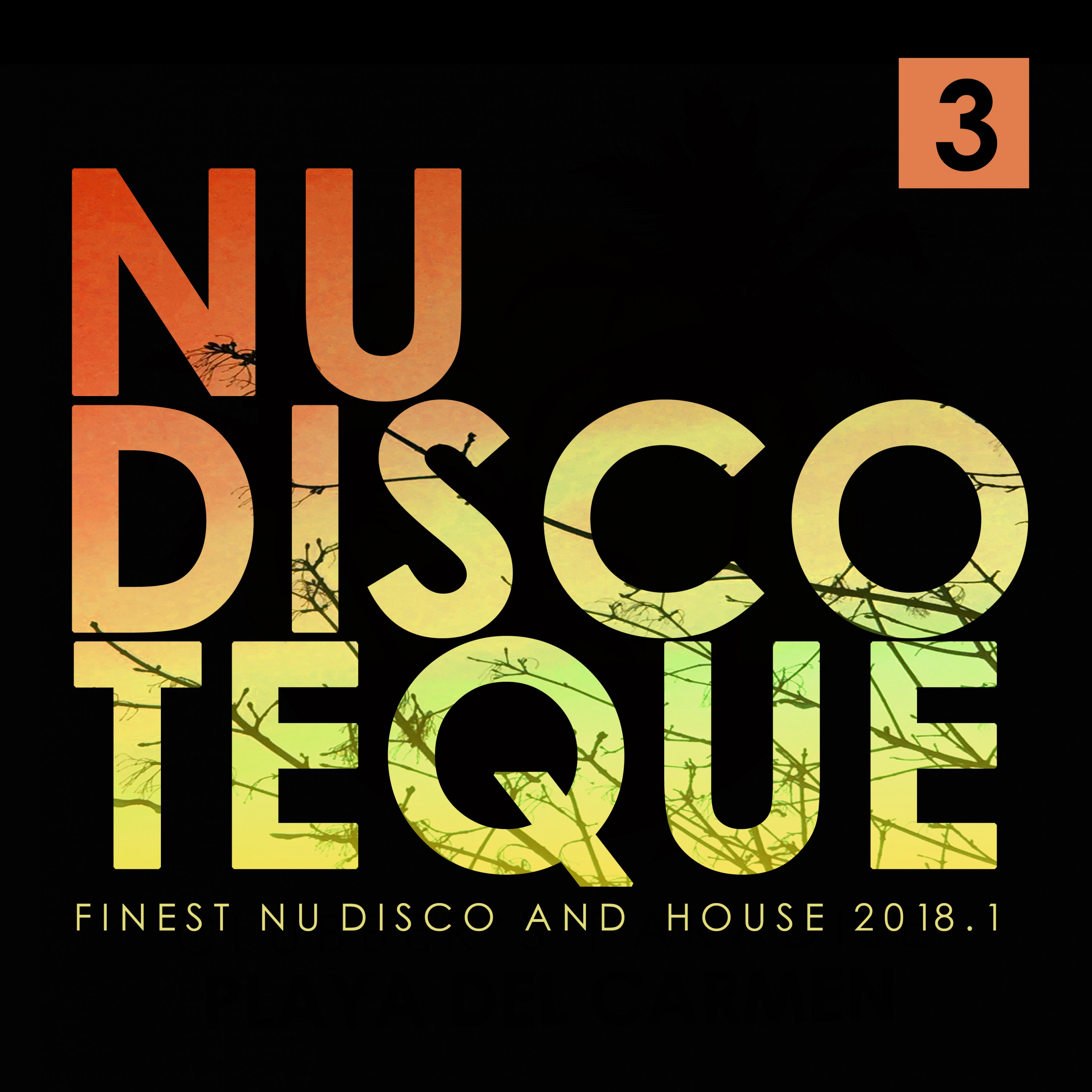 Nu-Discoteque 3