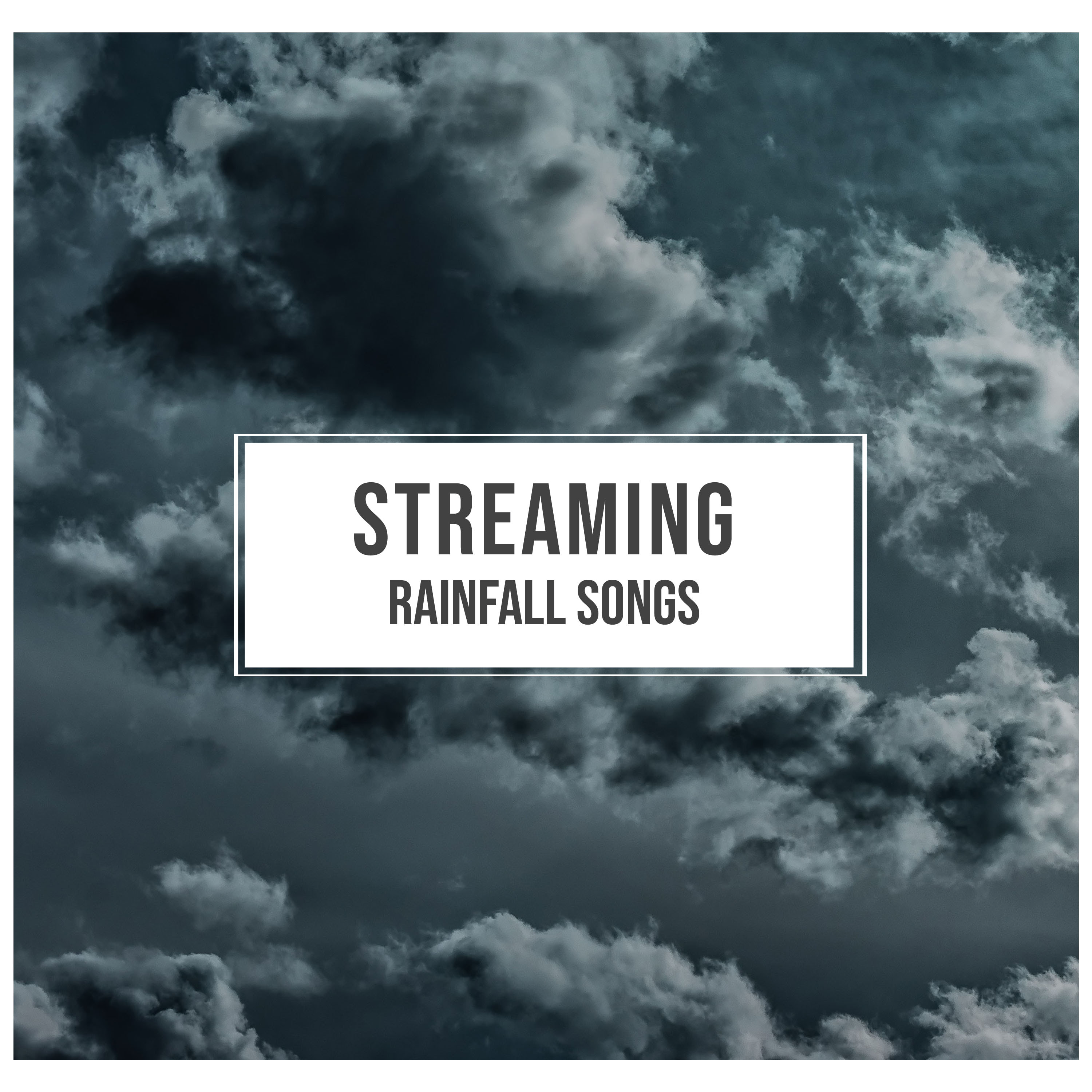 #14 Streaming Rainfall Songs for Relaxation and Ambience