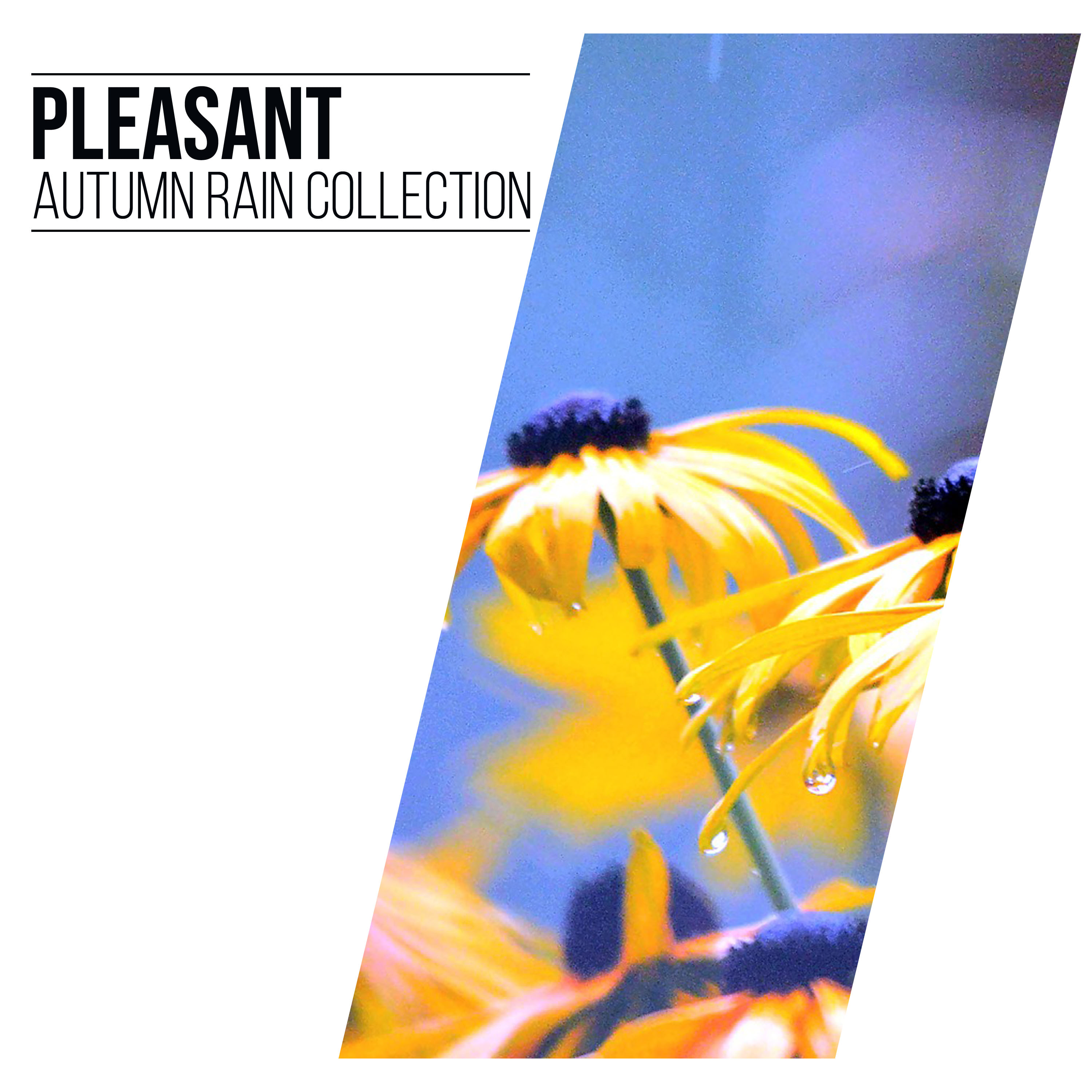 #21 Pleasant Autumn Rain Collection