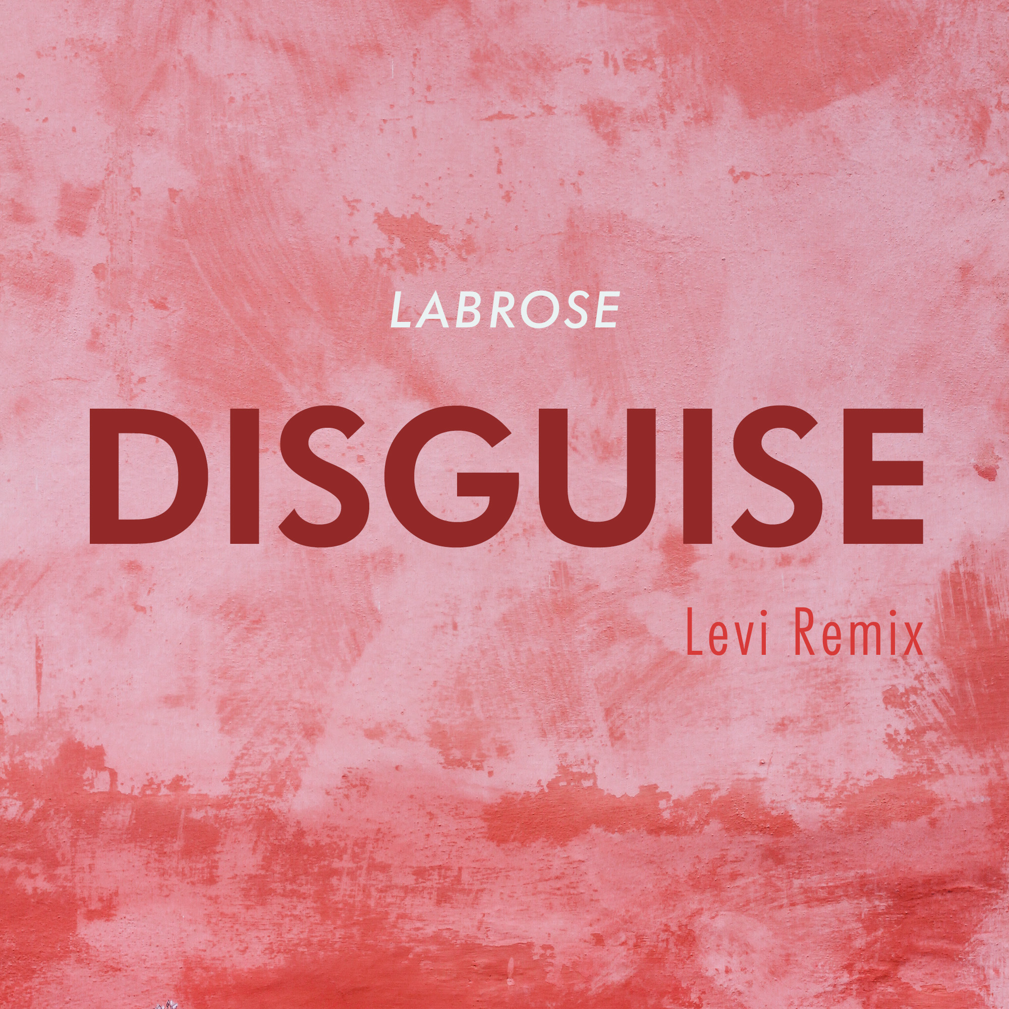 Disguise (Levi Remix)