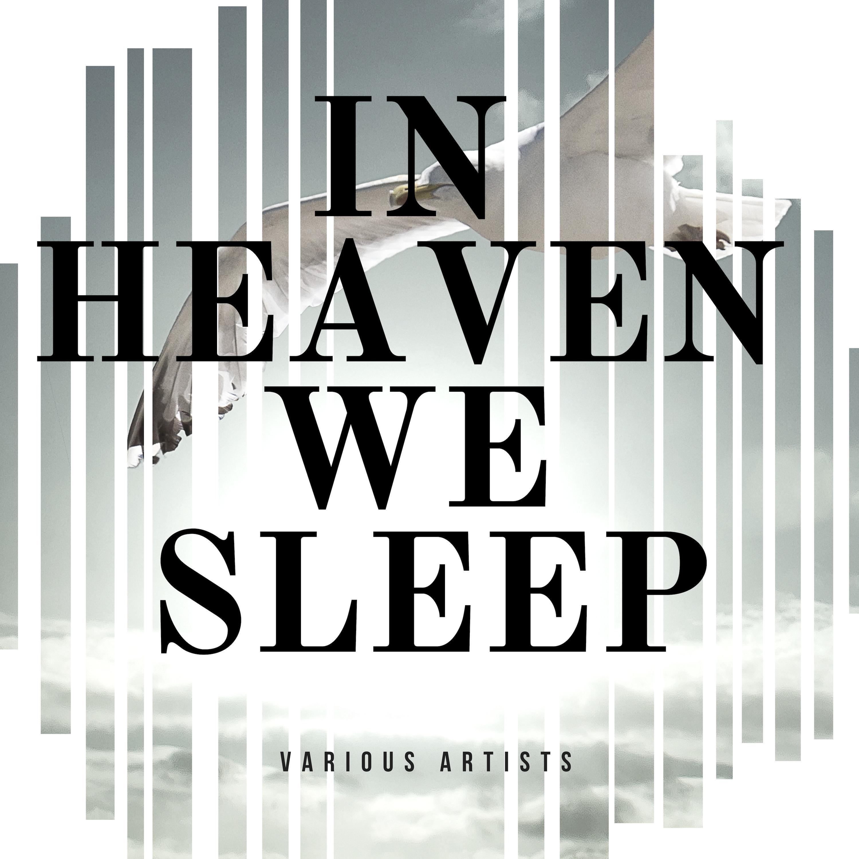 In Heaven We Sleep