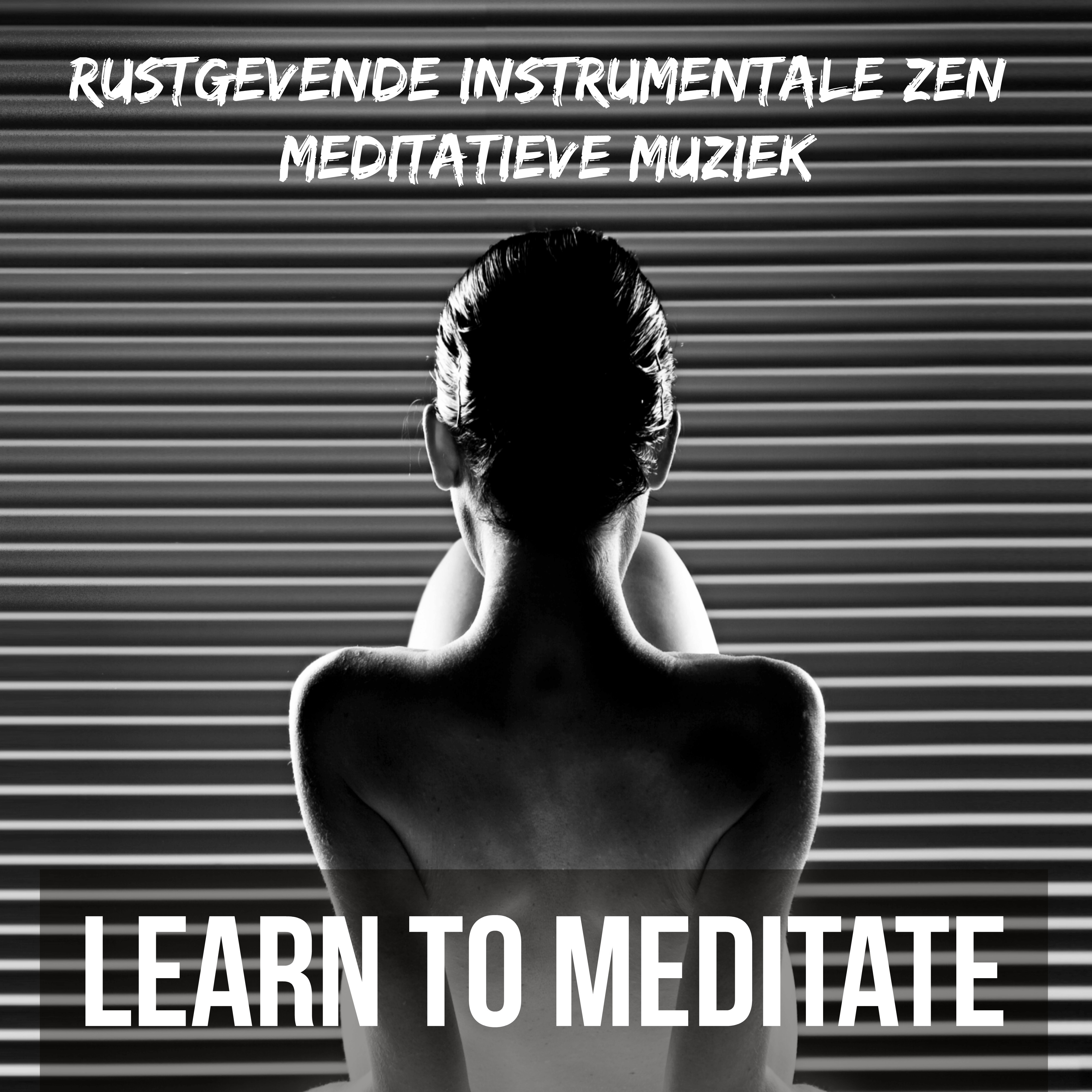 Learn to Meditate - Rustgevende Natuurlijke Instrumentale Zen Meditatieve Muziek voor Concentratie Oefeningen en Diepe Slaap