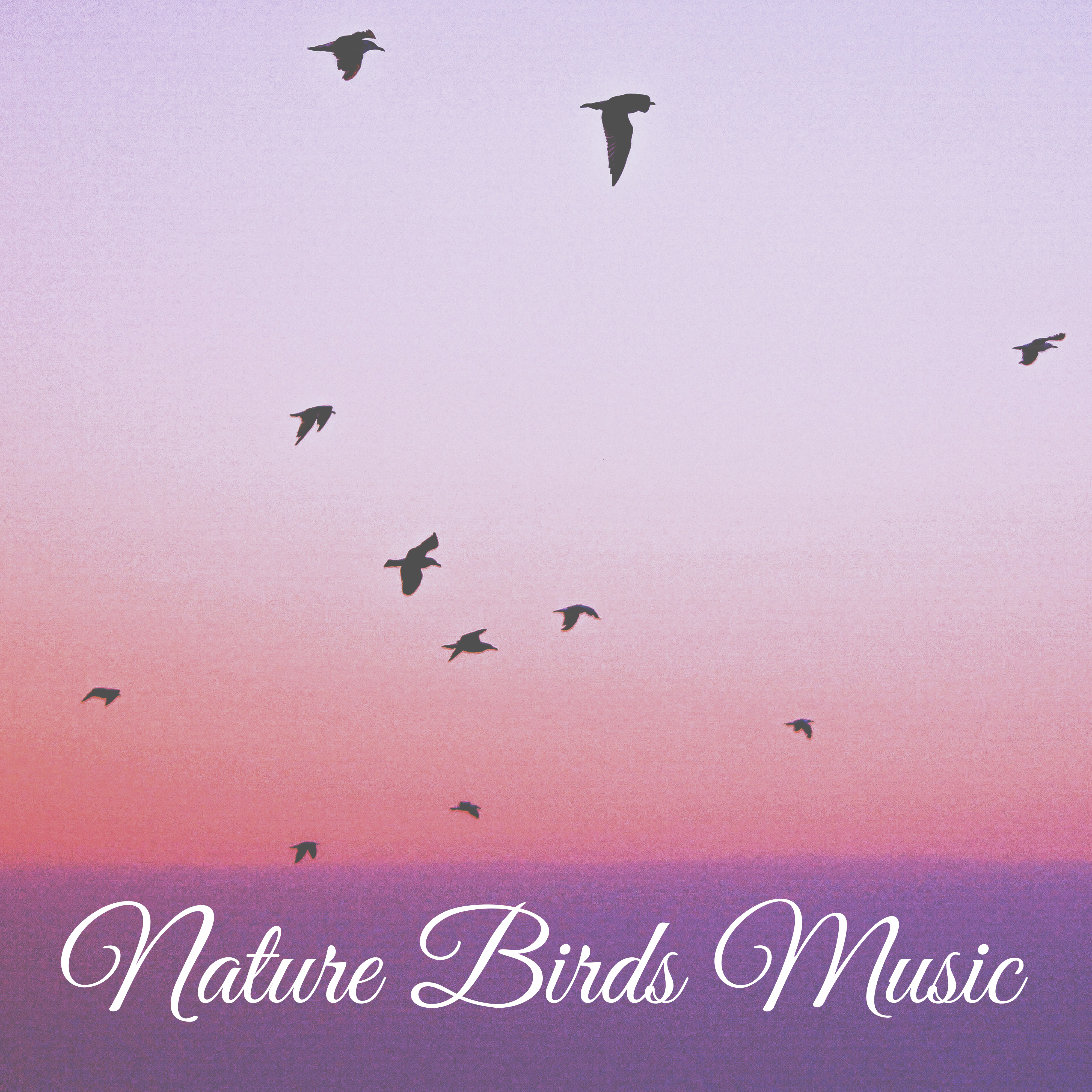 Nature Birds Music  Nature Sounds for Relaxation, Morning Birds, Calming New Age Sounds