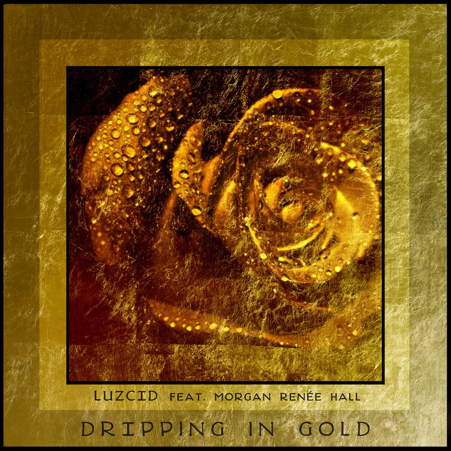 Dripping in Gold feat. Morgan Rene e Hall  Single