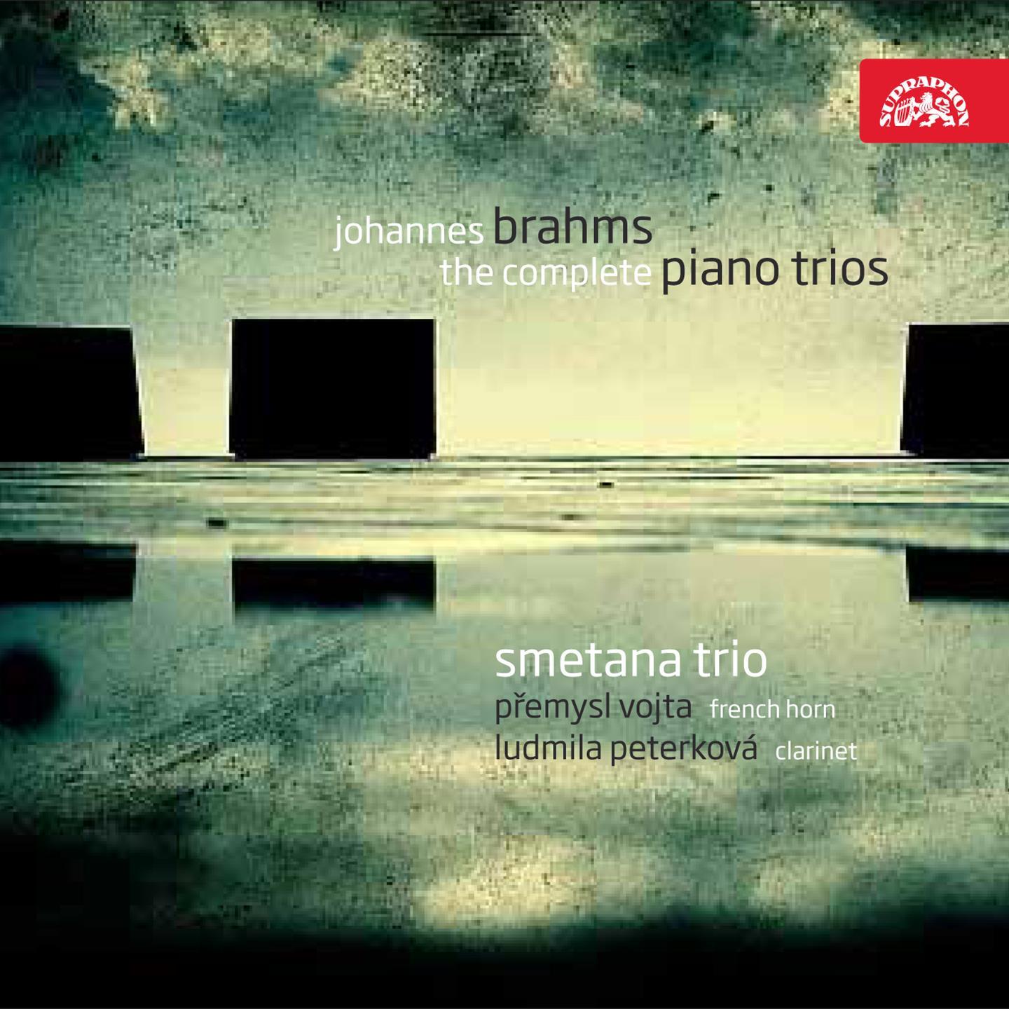 Clarinet Trio in A Minor, Op. 114: III. Andantino grazioso