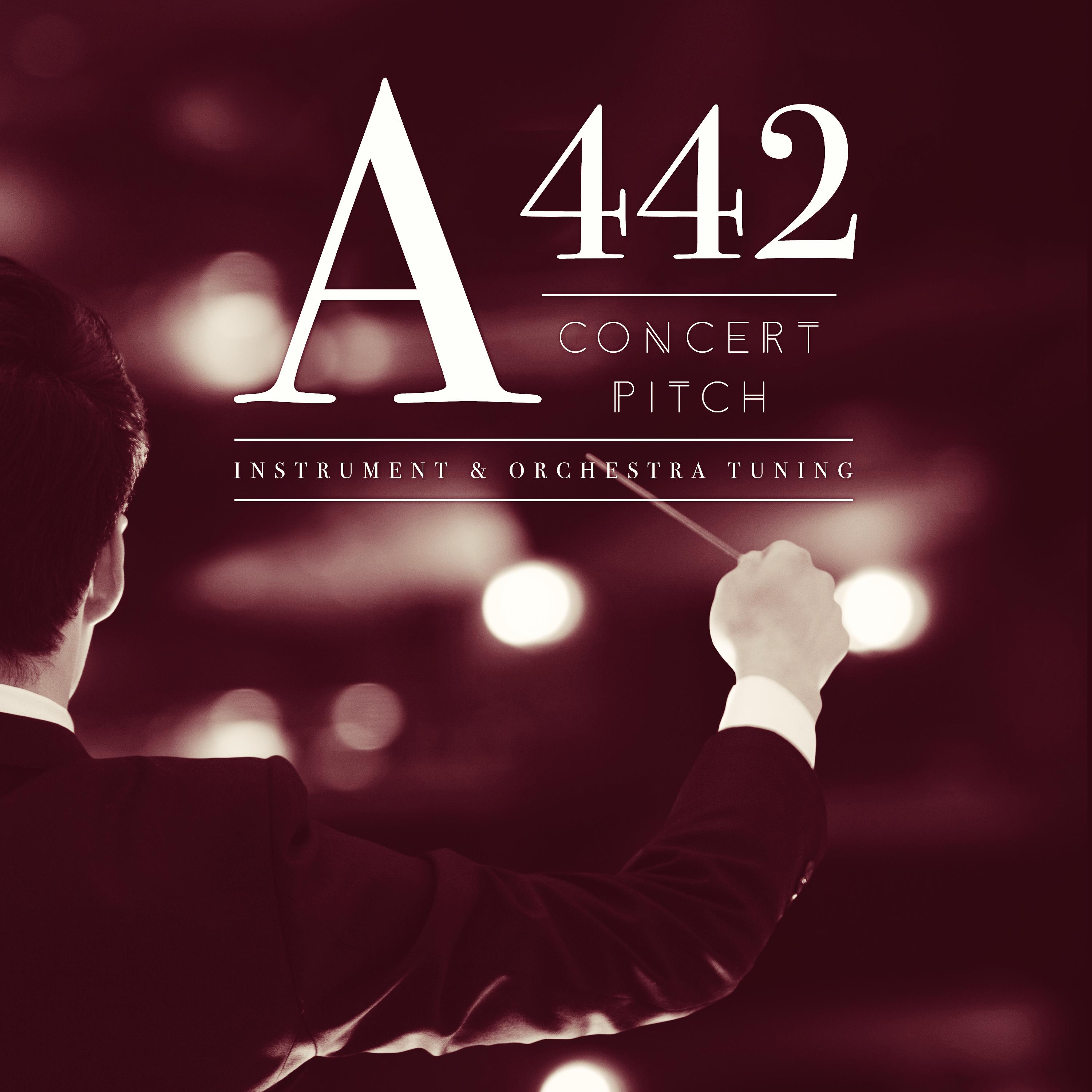 A442 Hz (String Orchestra)