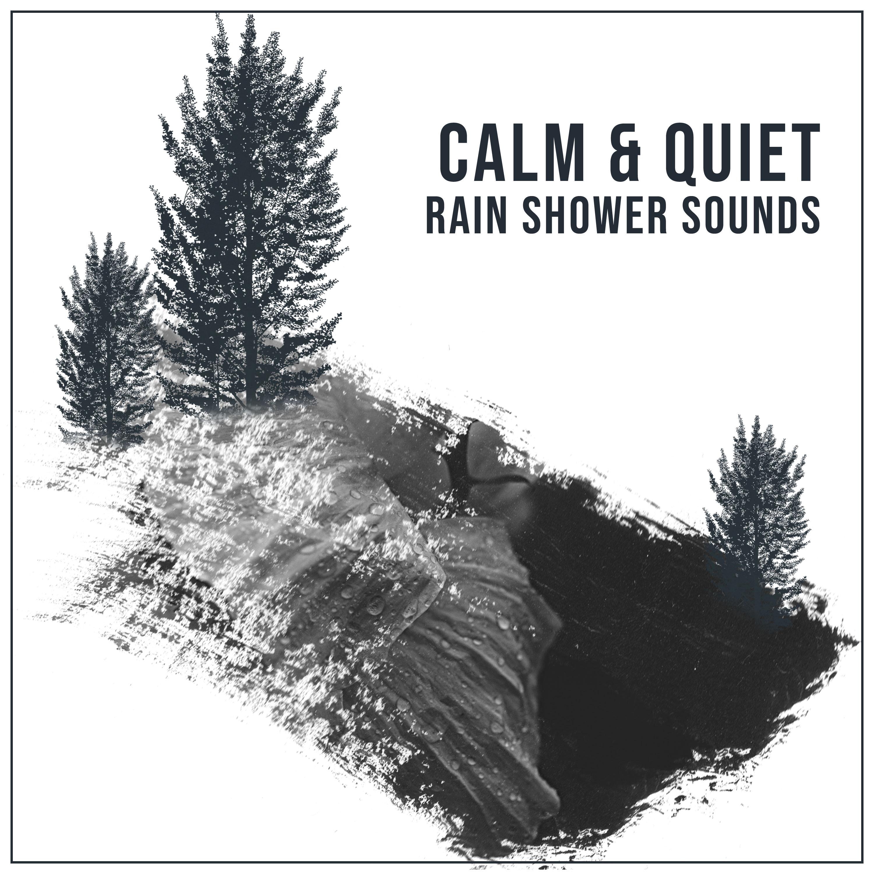 #19 Calm & Quiet Rain Shower Sounds