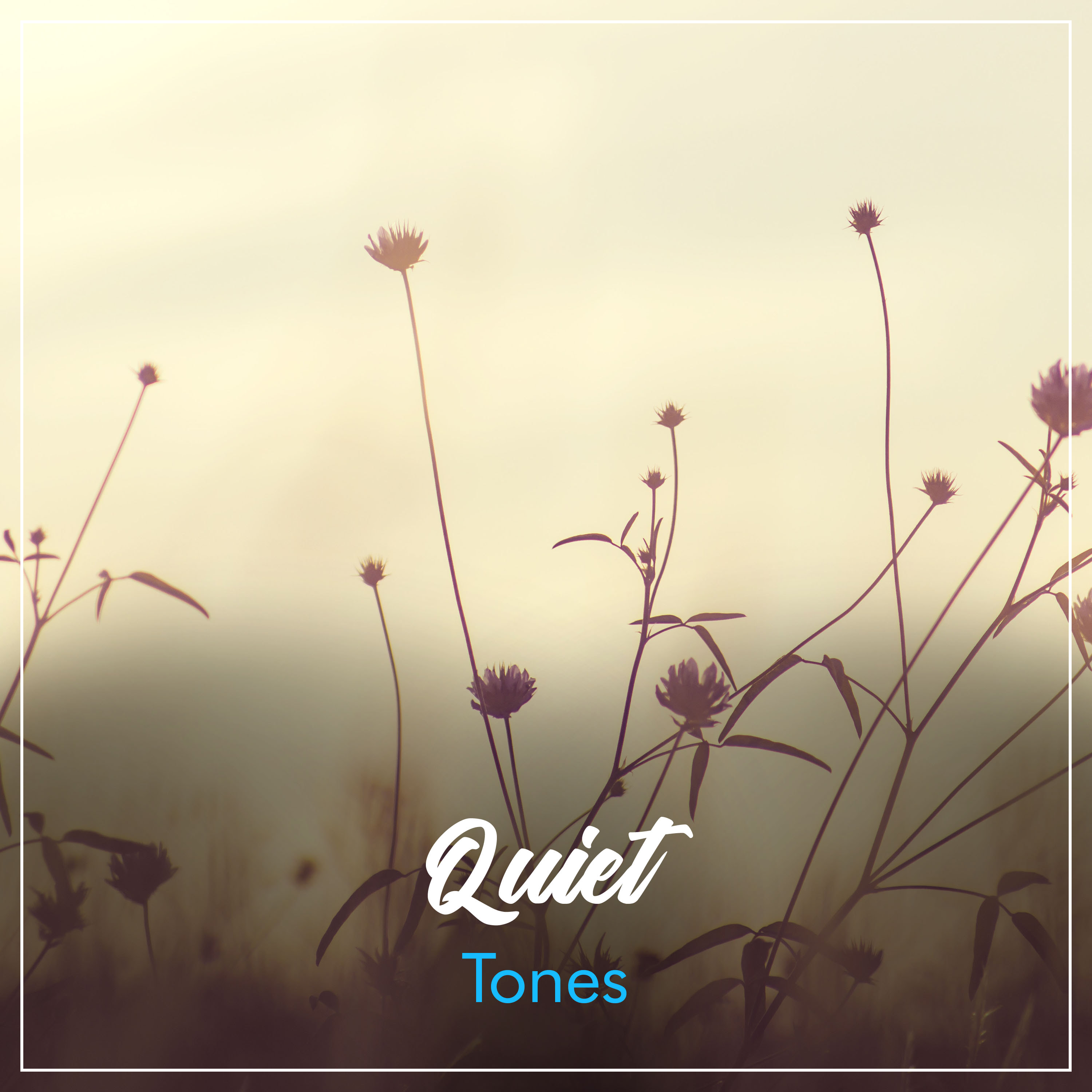 #12 Quiet Tones to Promote Wellness & Chakra Healing