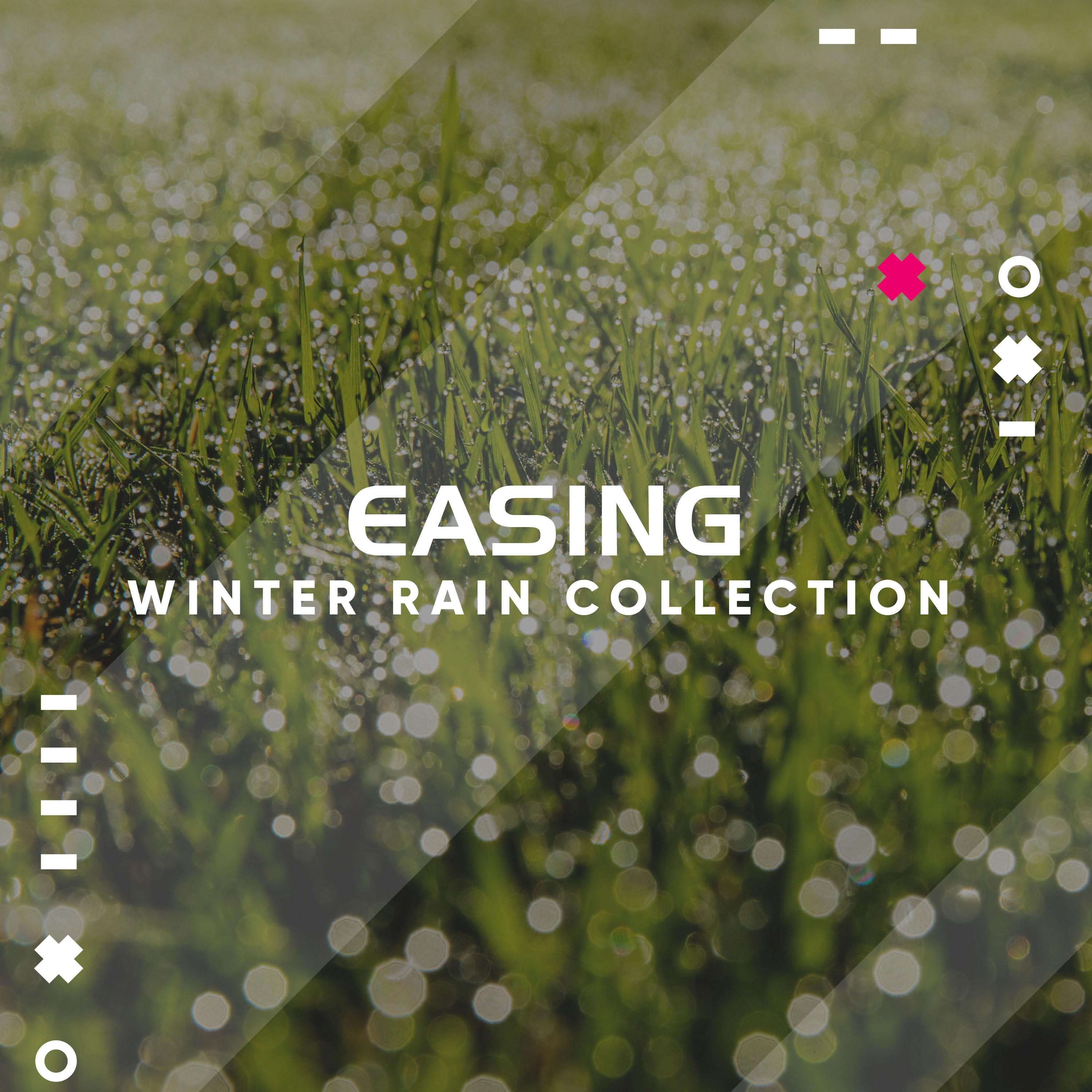#17 Easing Winter Rain Collection from Nature