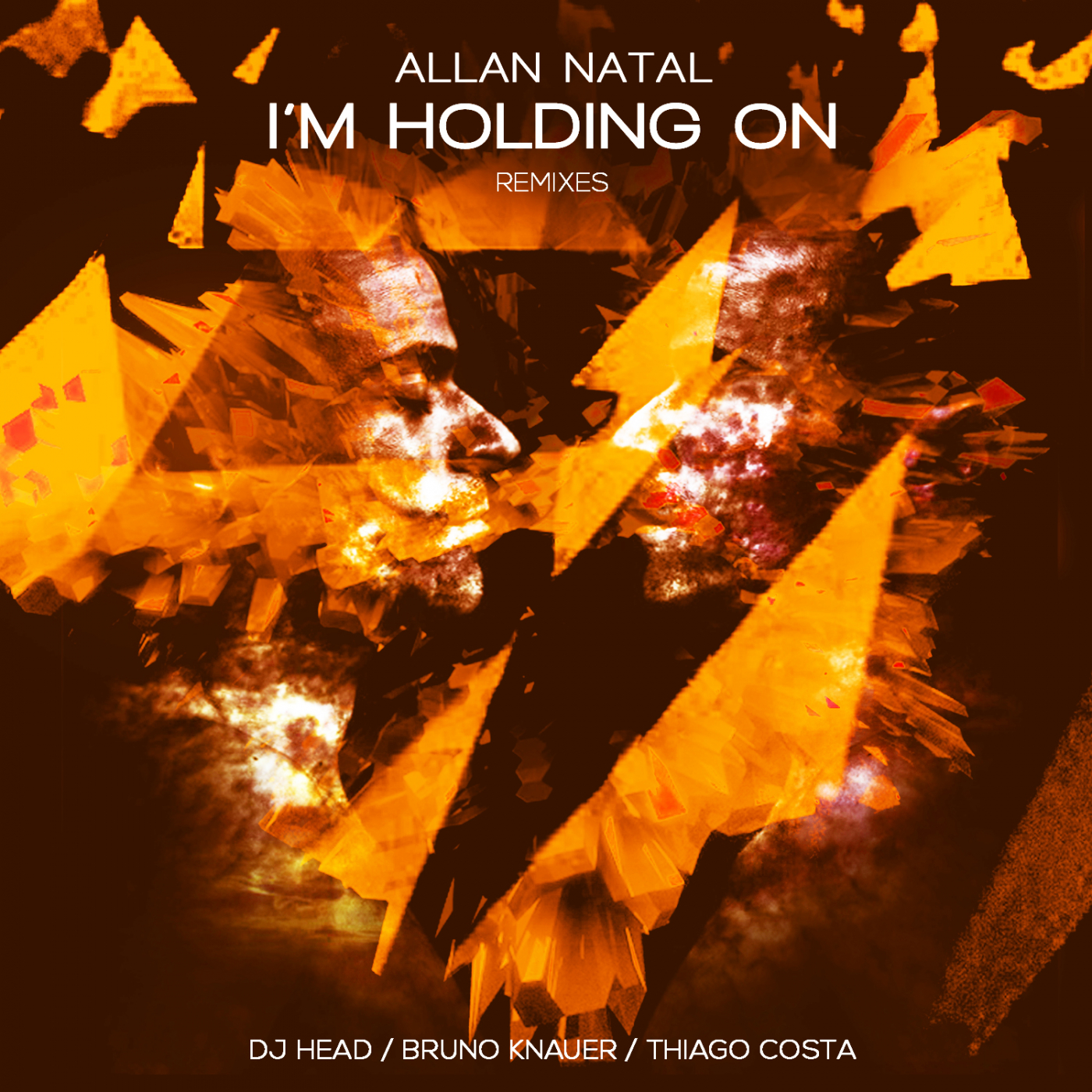 I'm Holding On (DJ Head Remix)