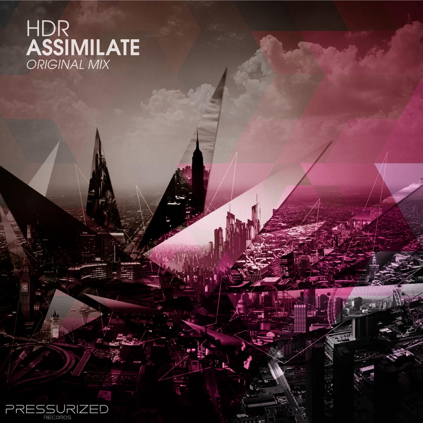 Assimilate (Original Mix)