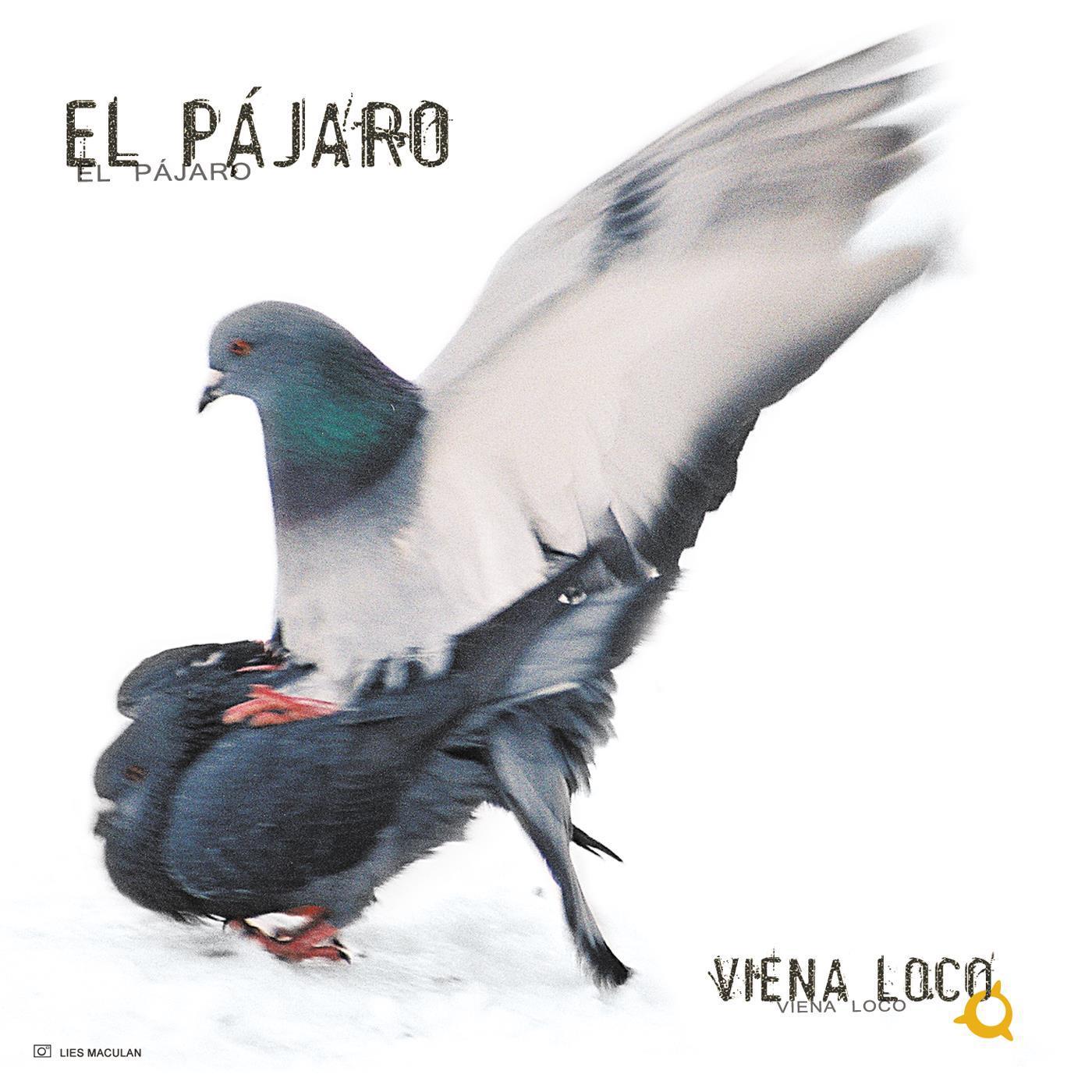 Pajaro (Move My Legs Remix)