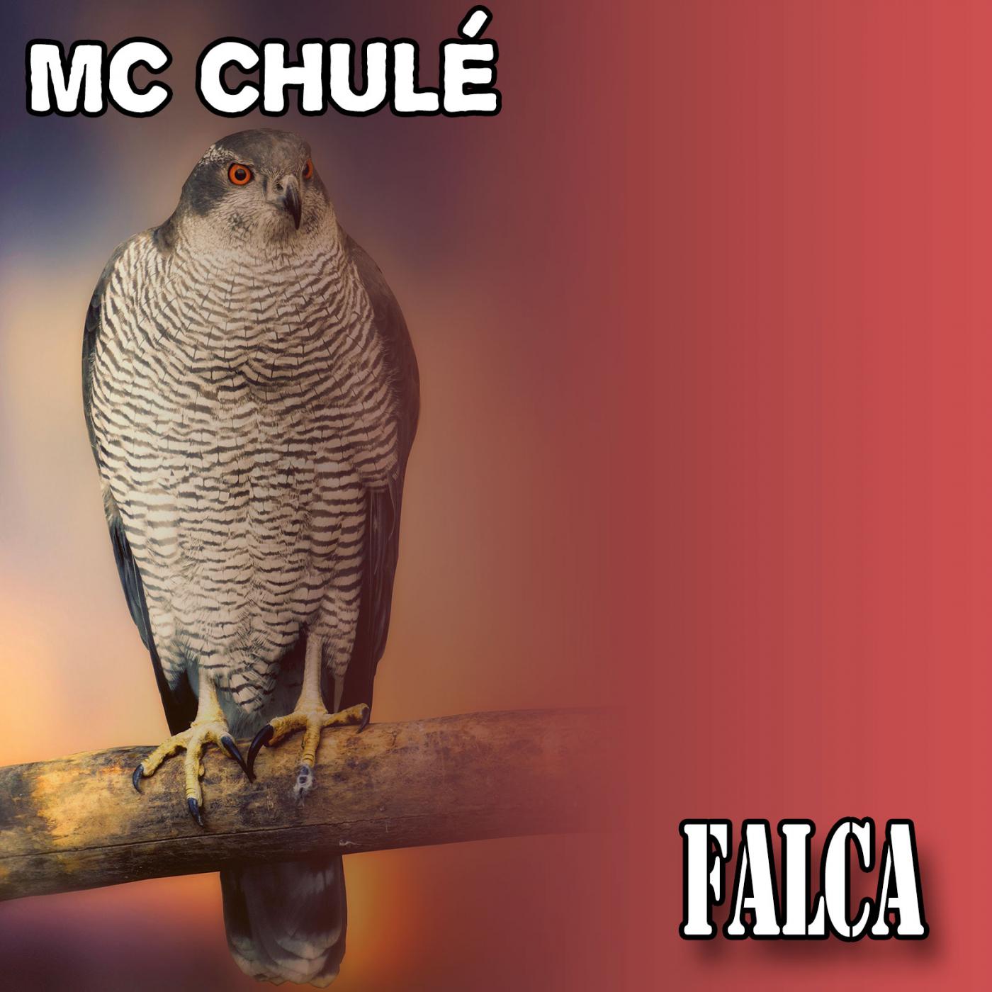 Vai, malandra