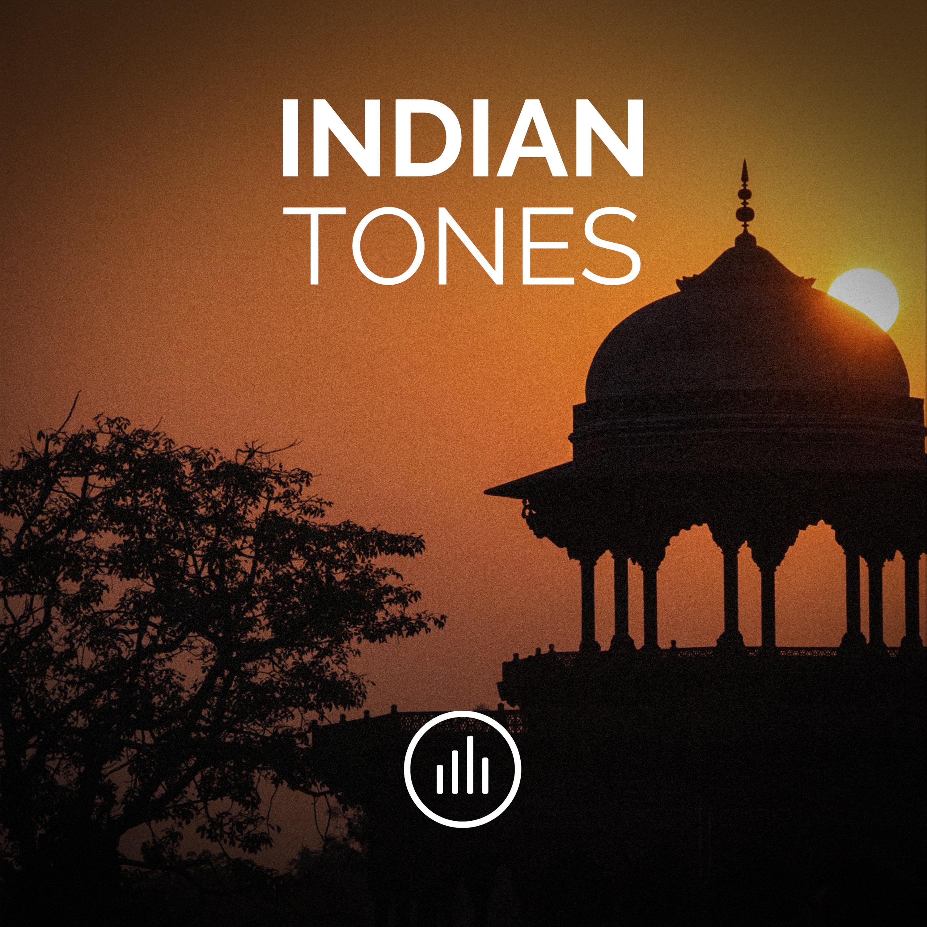 Indian Drone Tone in F# (Gb)