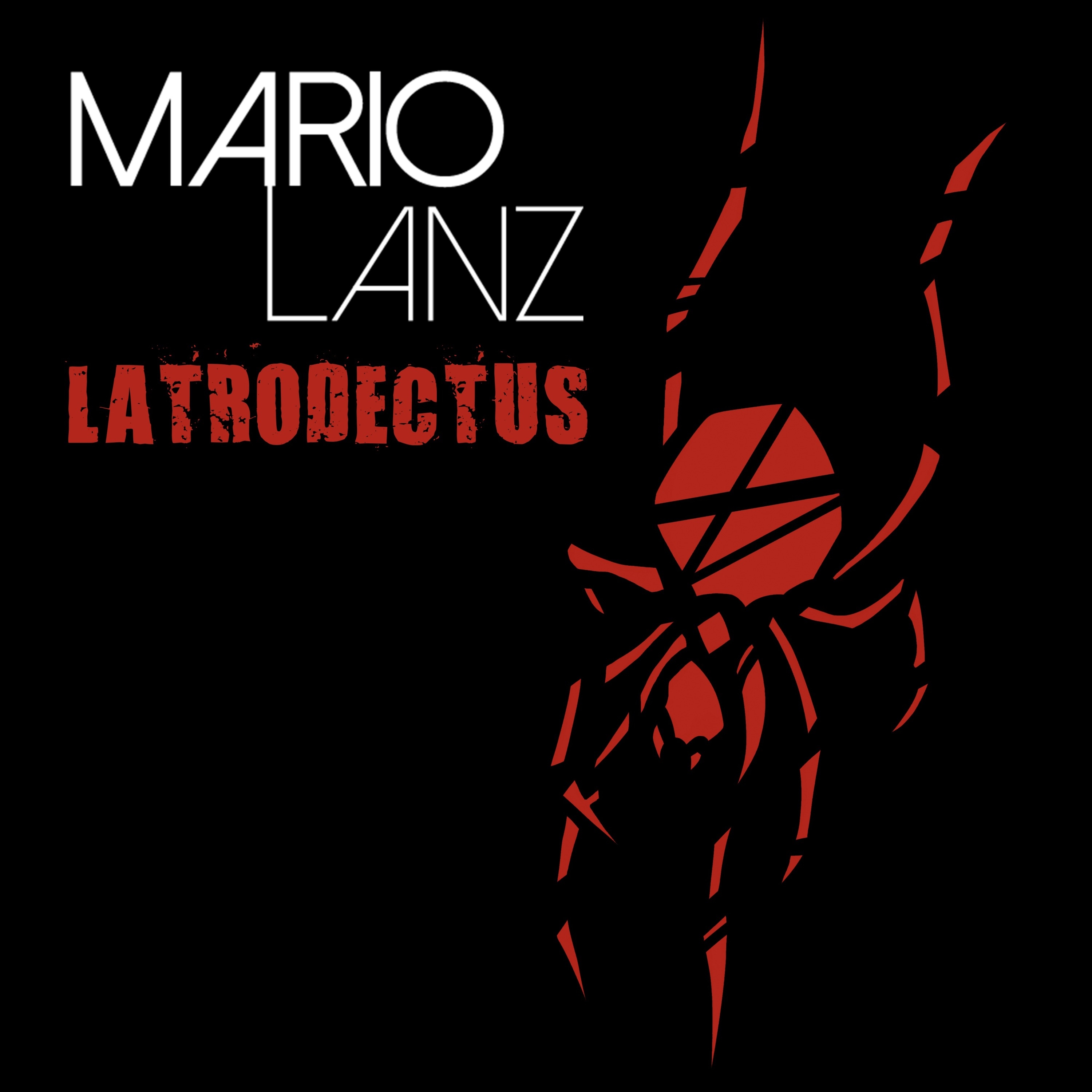 Latrodectus