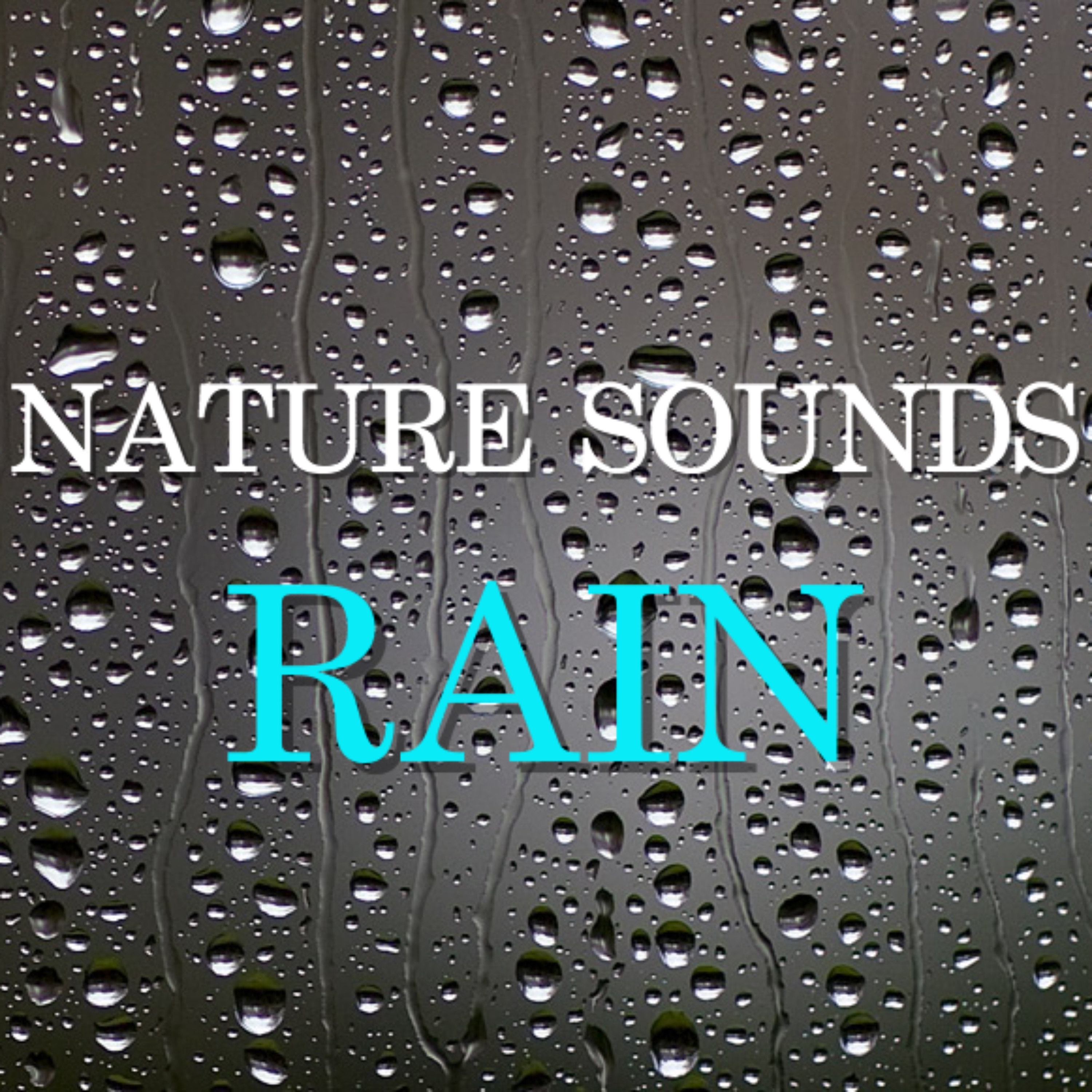 Nature Sounds Rain
