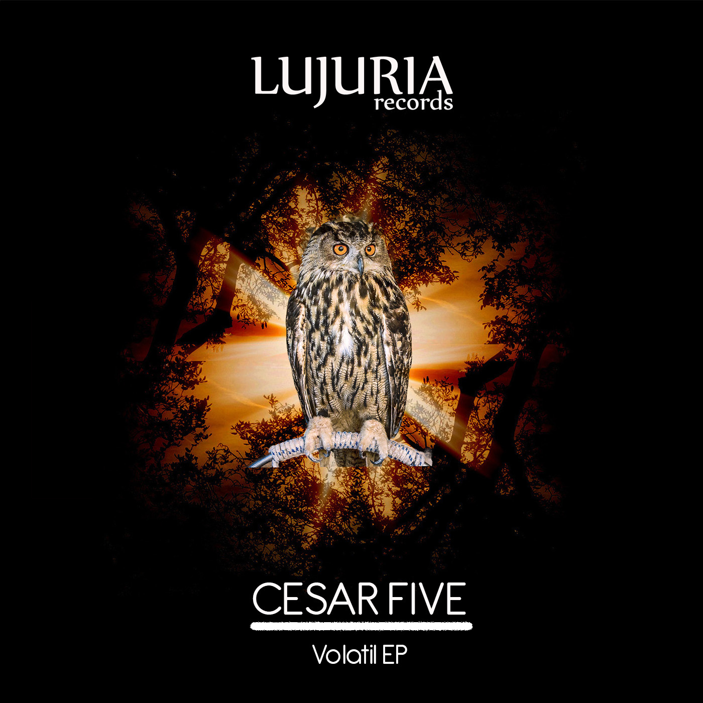 Volatil (Instrumental Mix)